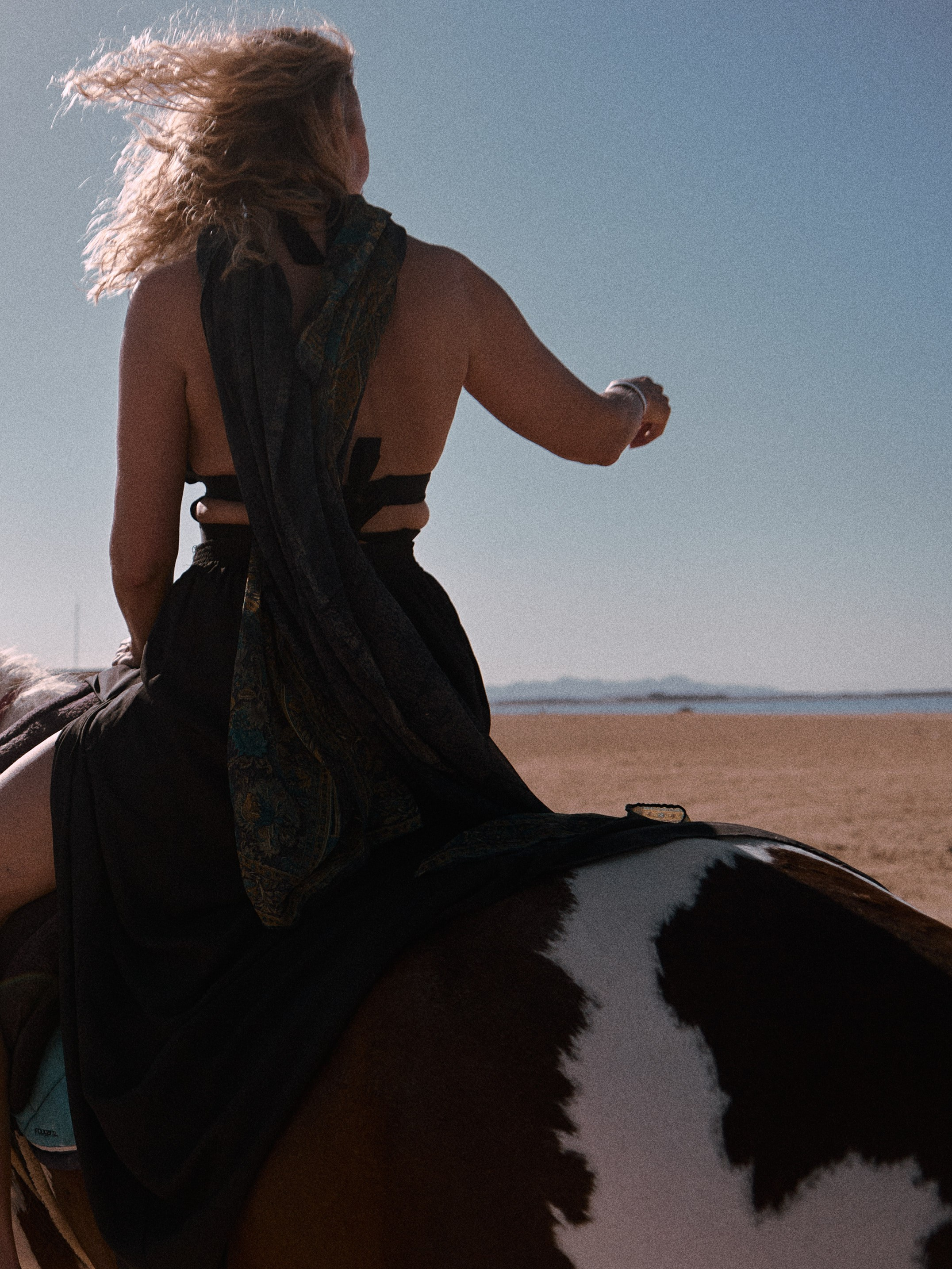 Лошадиная ферма. Jorgis — фотограф в Хургаде / обучение фотографии