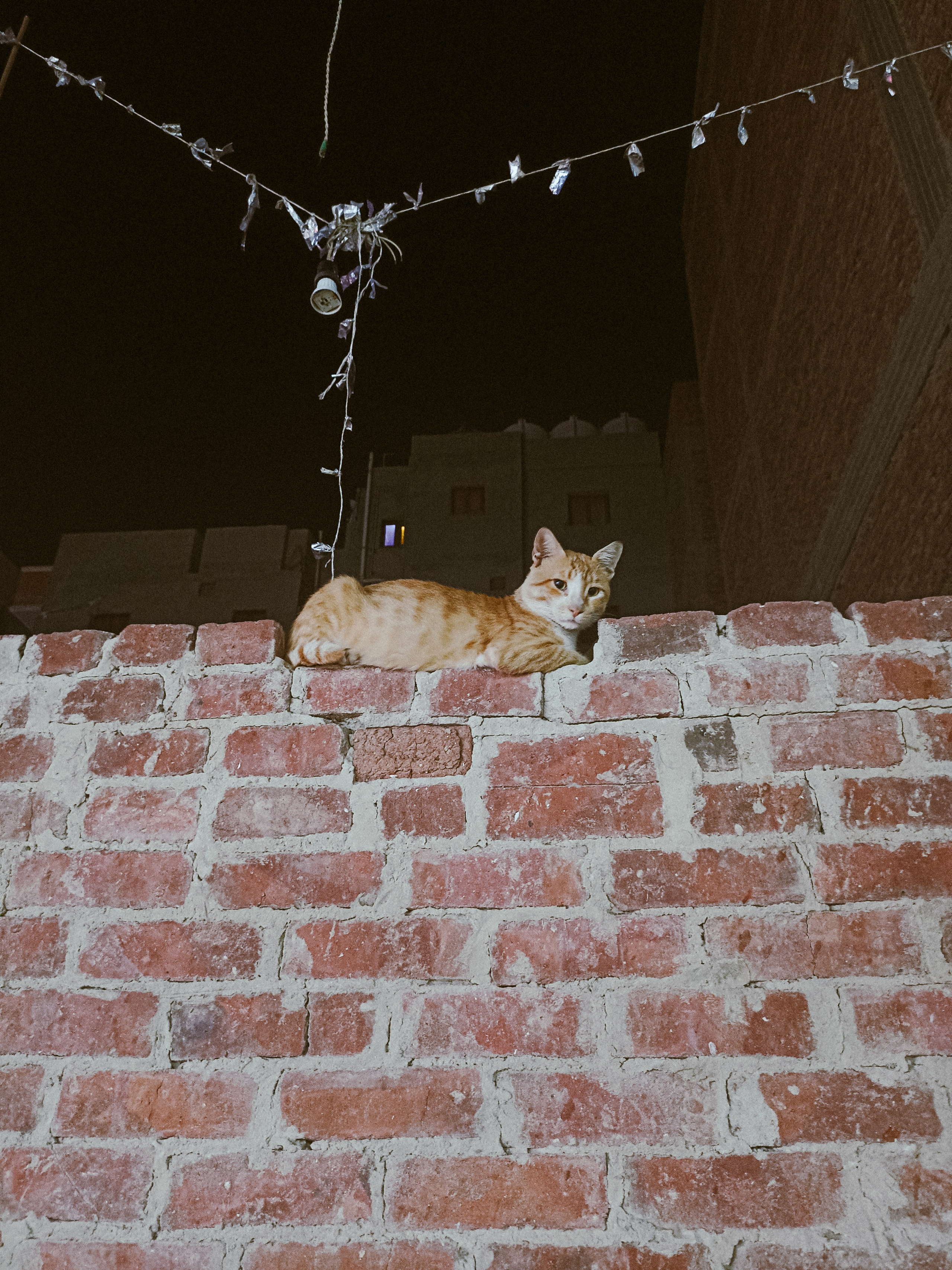 Мобильная. Jorgis — фотограф в Хургаде / обучение фотографии