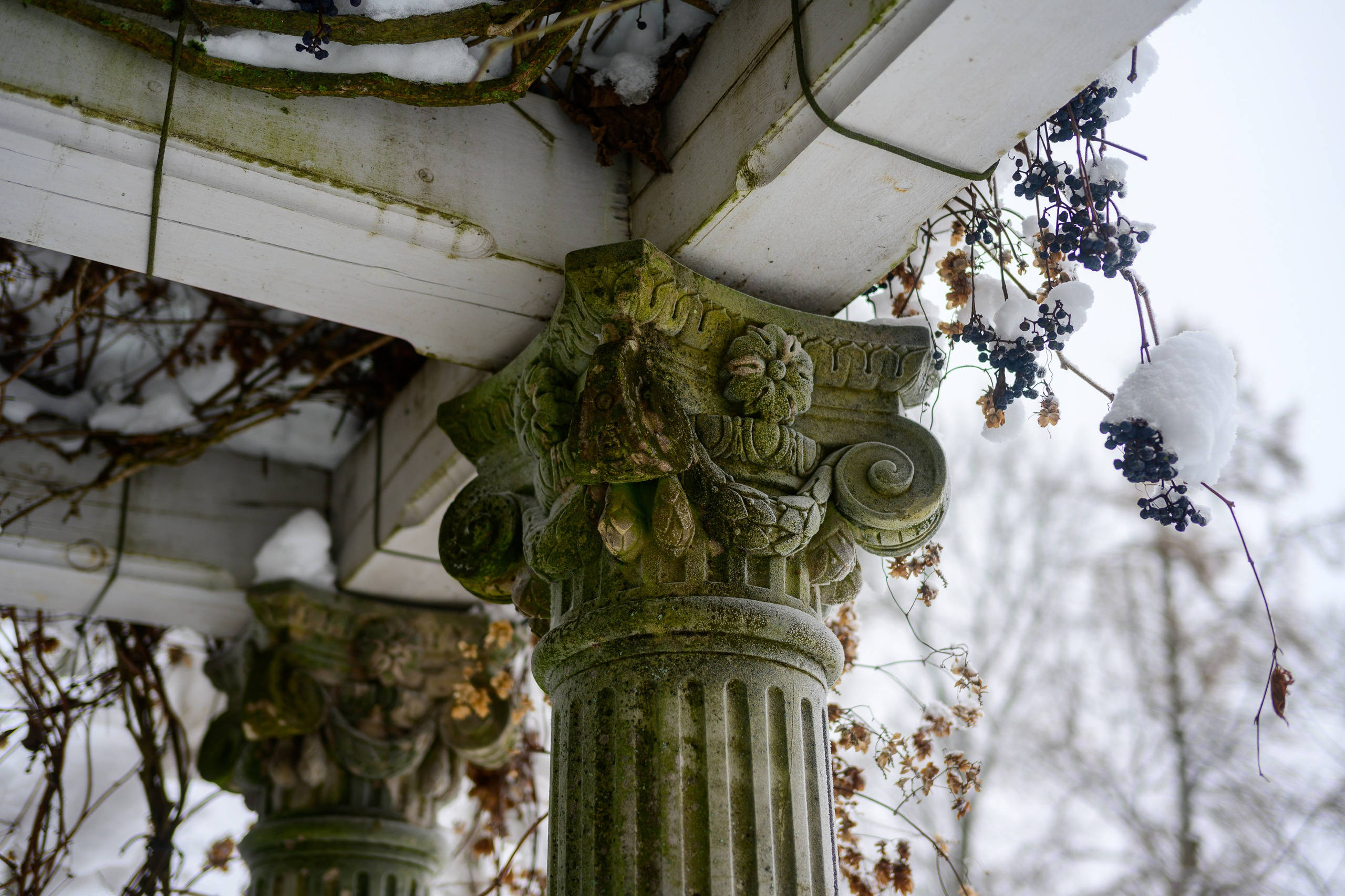 SAINT PETERSBURG | SUBURBS. Personal website of photographer Dmitry Raikin