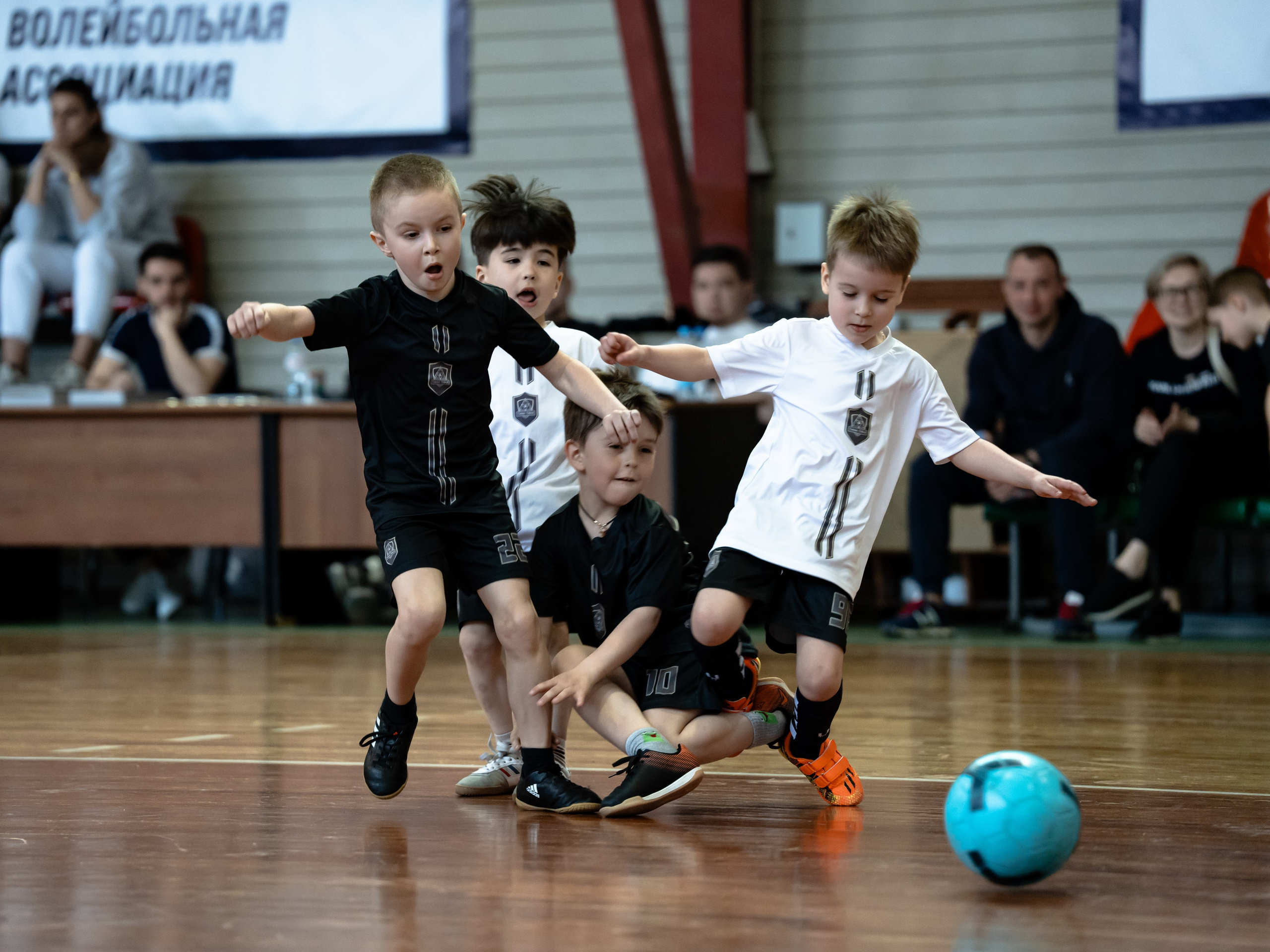 Тики-Така Противостояние 2025. Крамер Юлиана детский и семейный фотограф