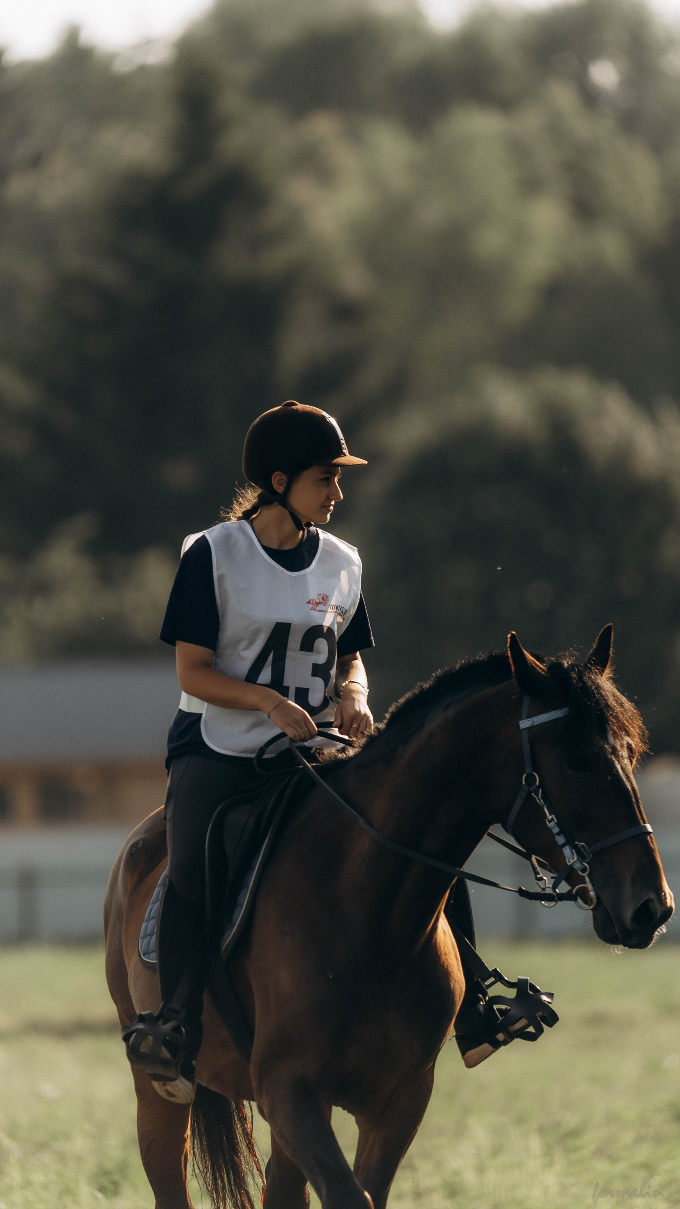 День Коня. Алиса Никитцова | Фотограф в Казани