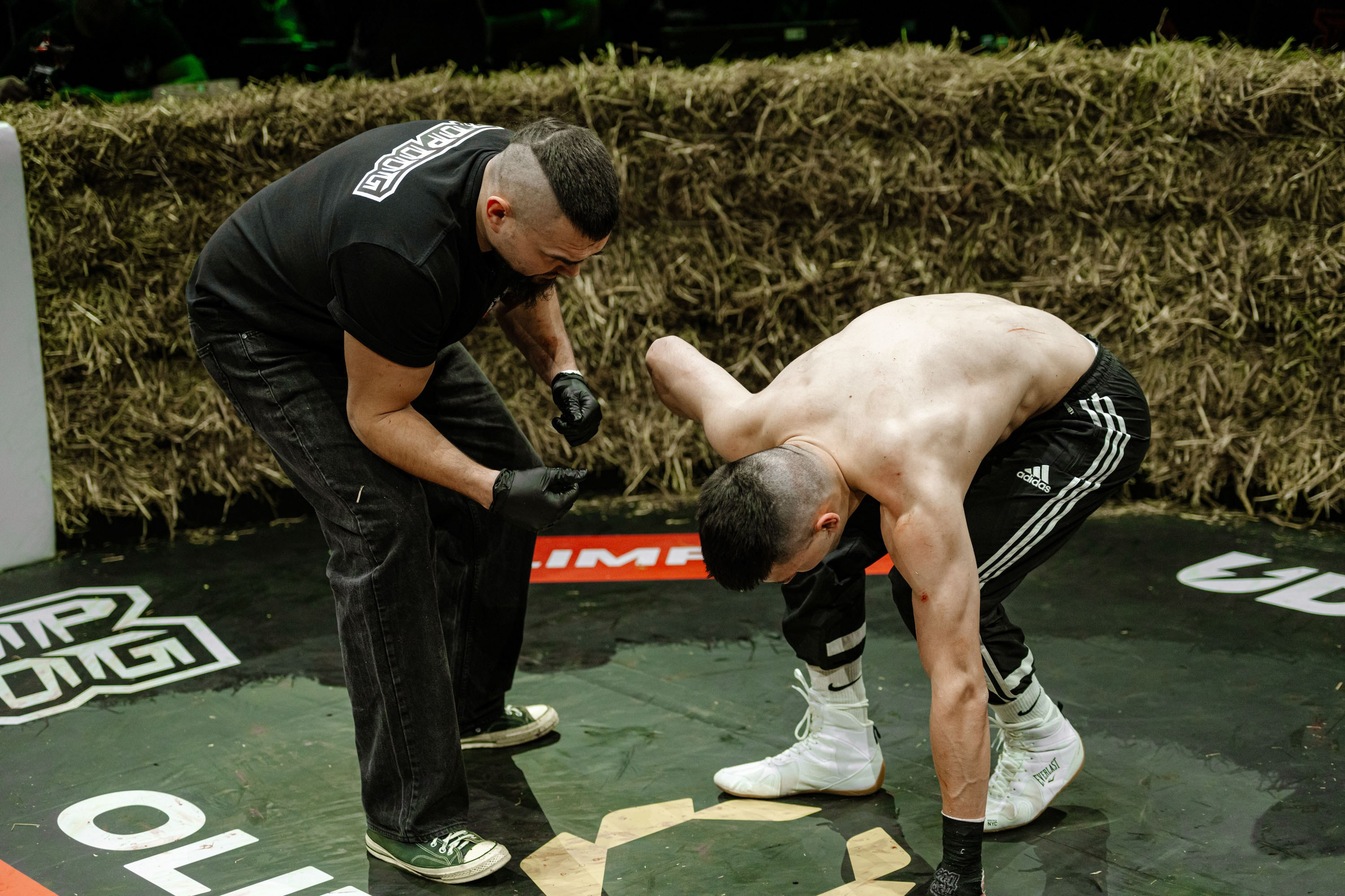 TOP DOG. Максим Комаров — Профессиональный фотограф