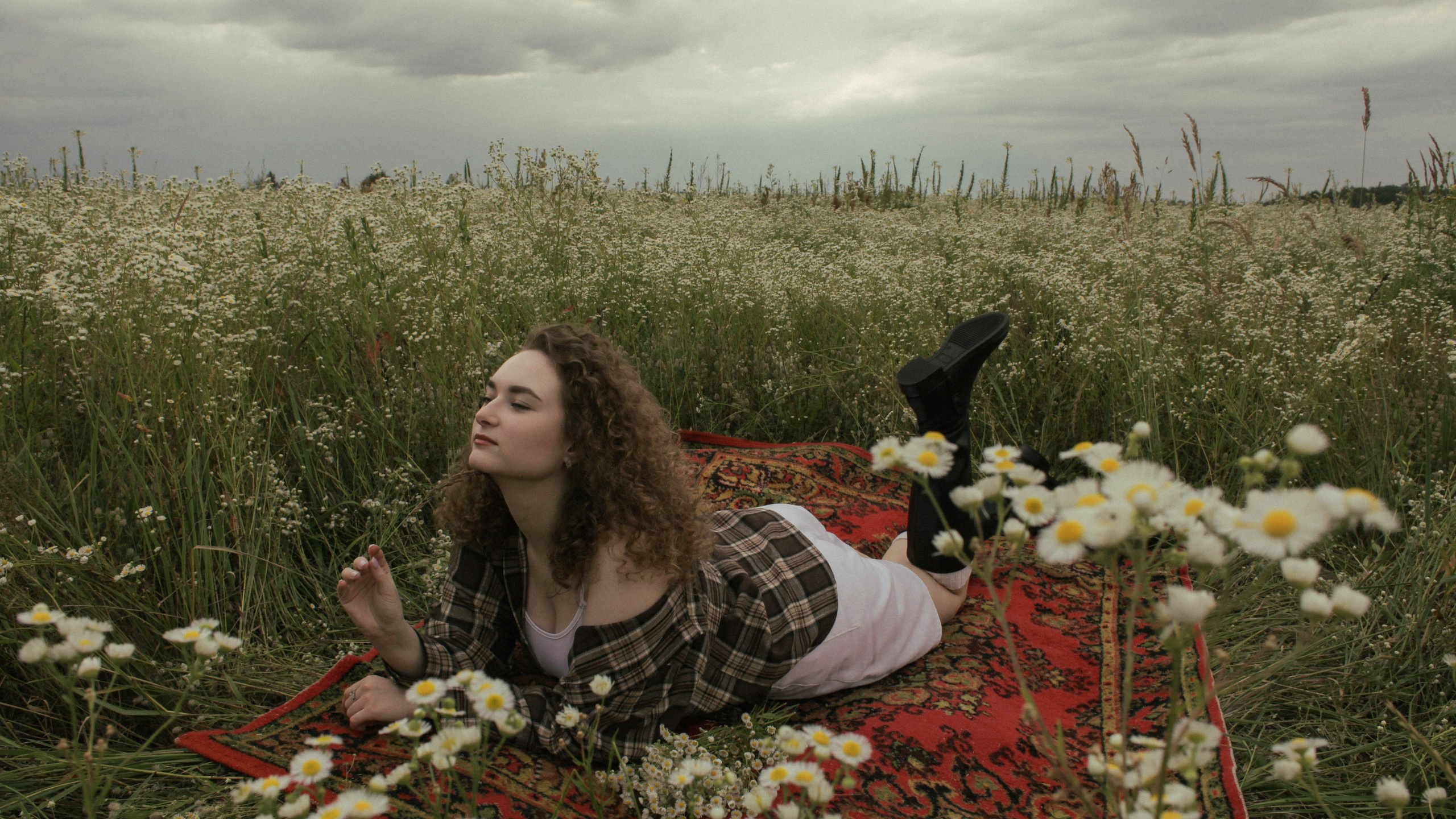 Дарья | Chamomile field. Селивантьева Кира | Фотограф в Москве и МО