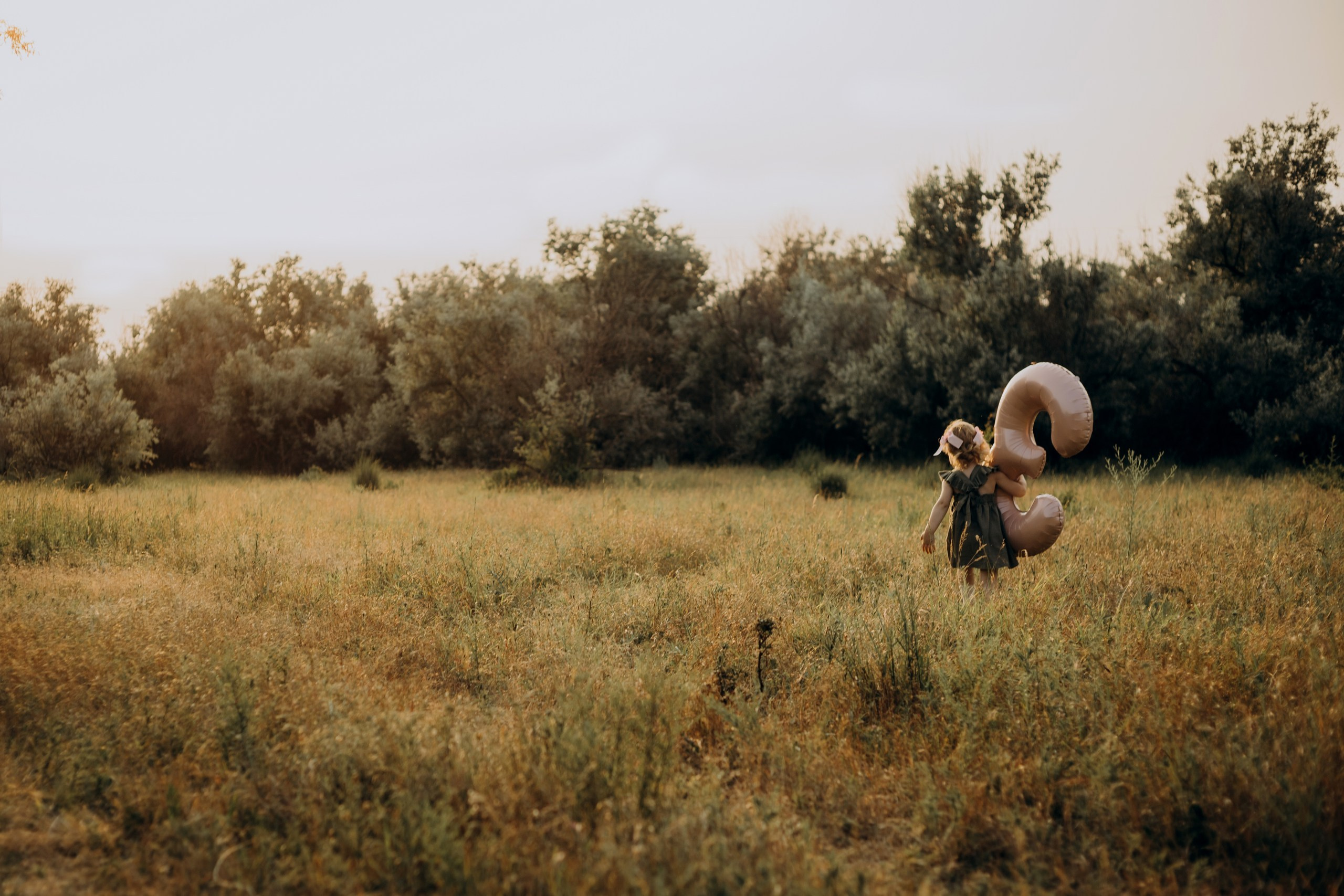 На лугу. Семейный фотограф в Ростове-на-Дону Безкишкина Татьяна