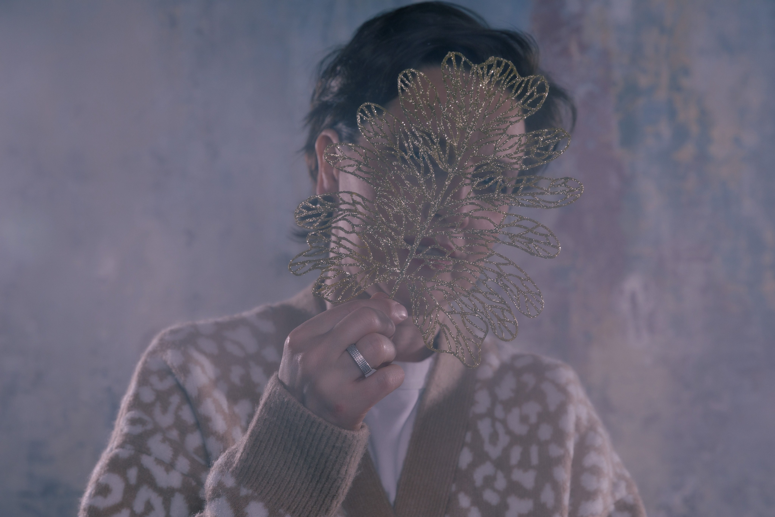 Это не новогодняя фотосессия. Это реклама курсов. Фотограф в Москве Слуцкая Наталья, репортаж, портрет, контент