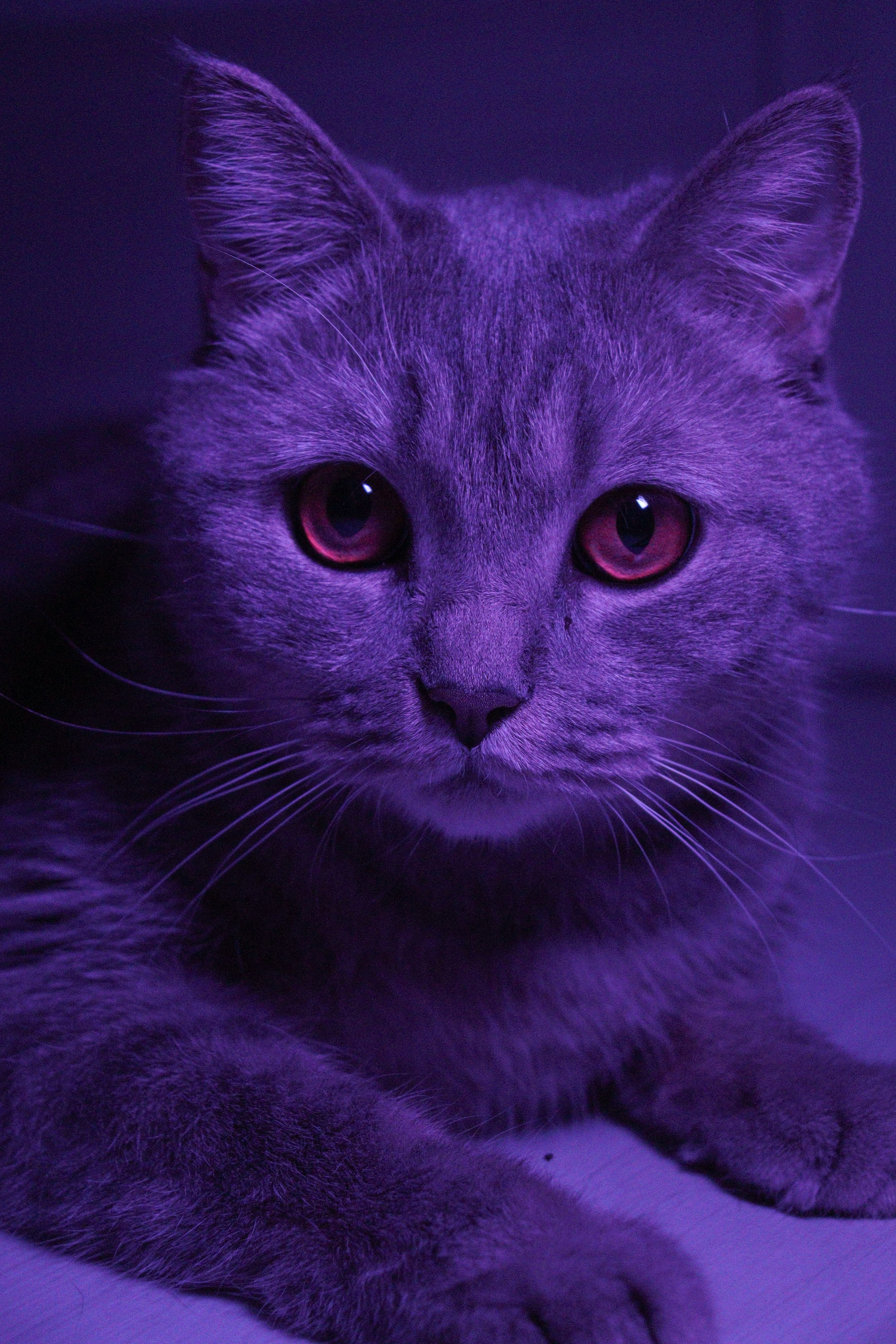 М А Р Т И Н. — Digital Noise —