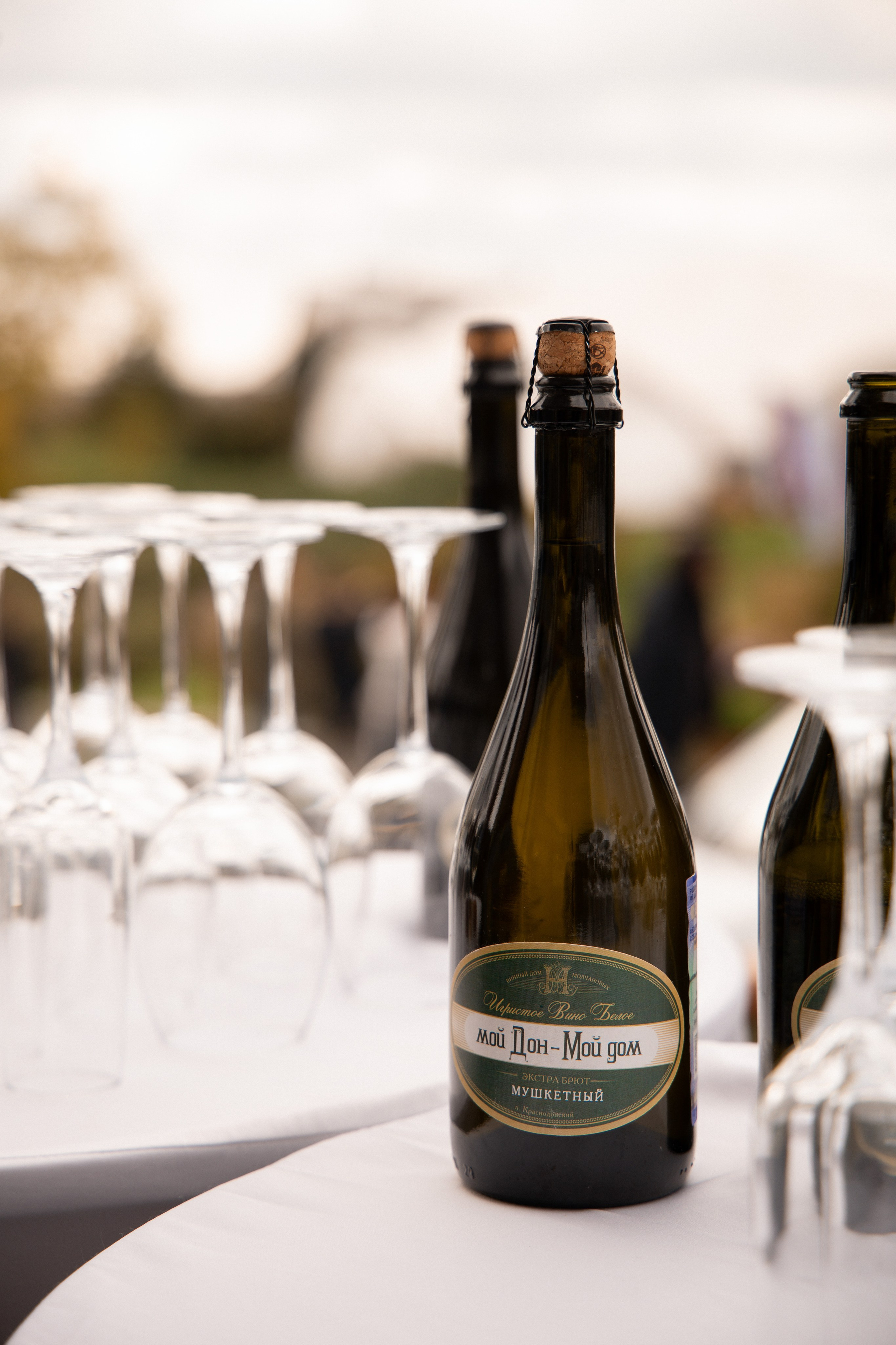 «Красностопъ Золотовский» третий винный фестиваль. Анна Рышкевич