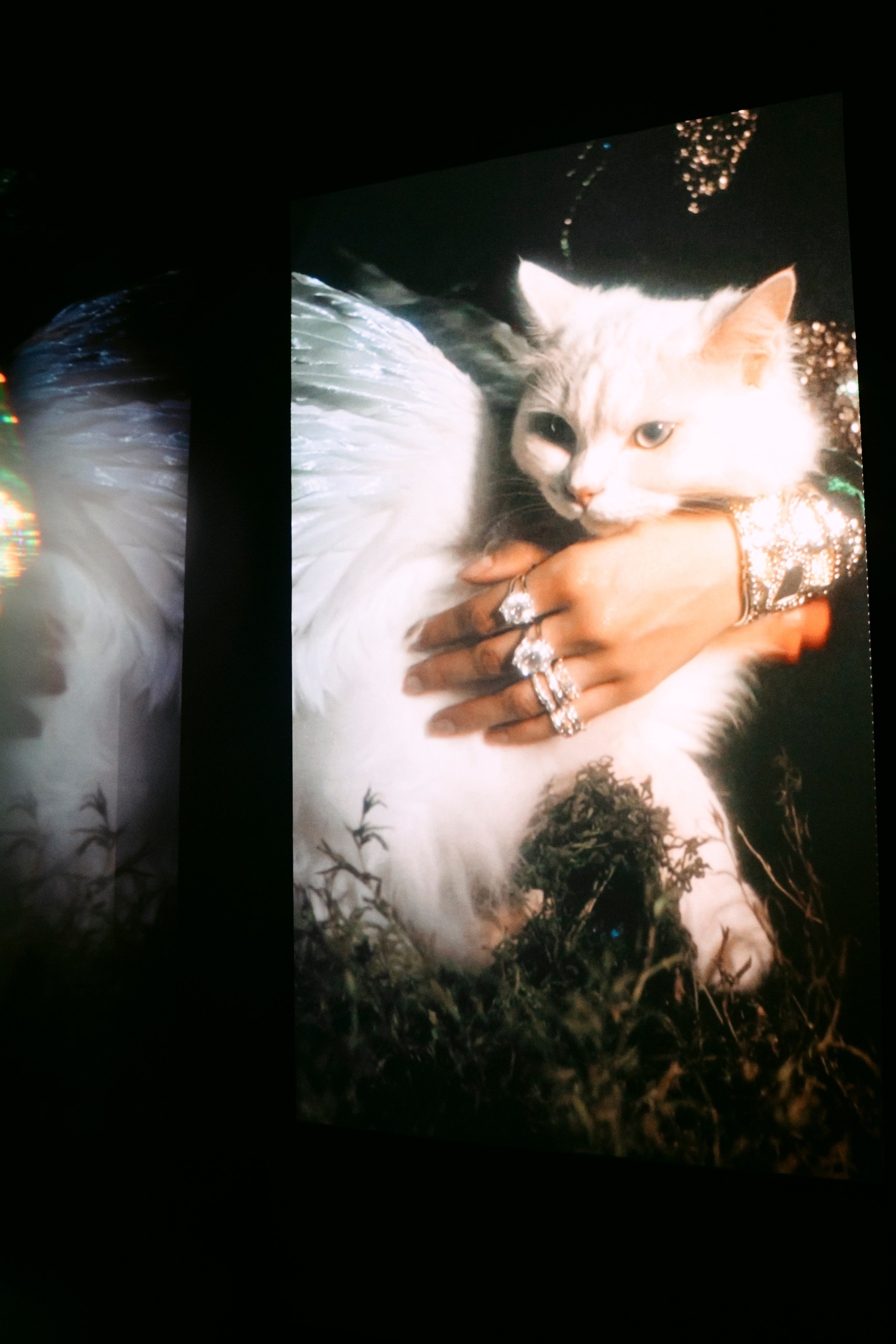 NUR NOW 2026. Главная