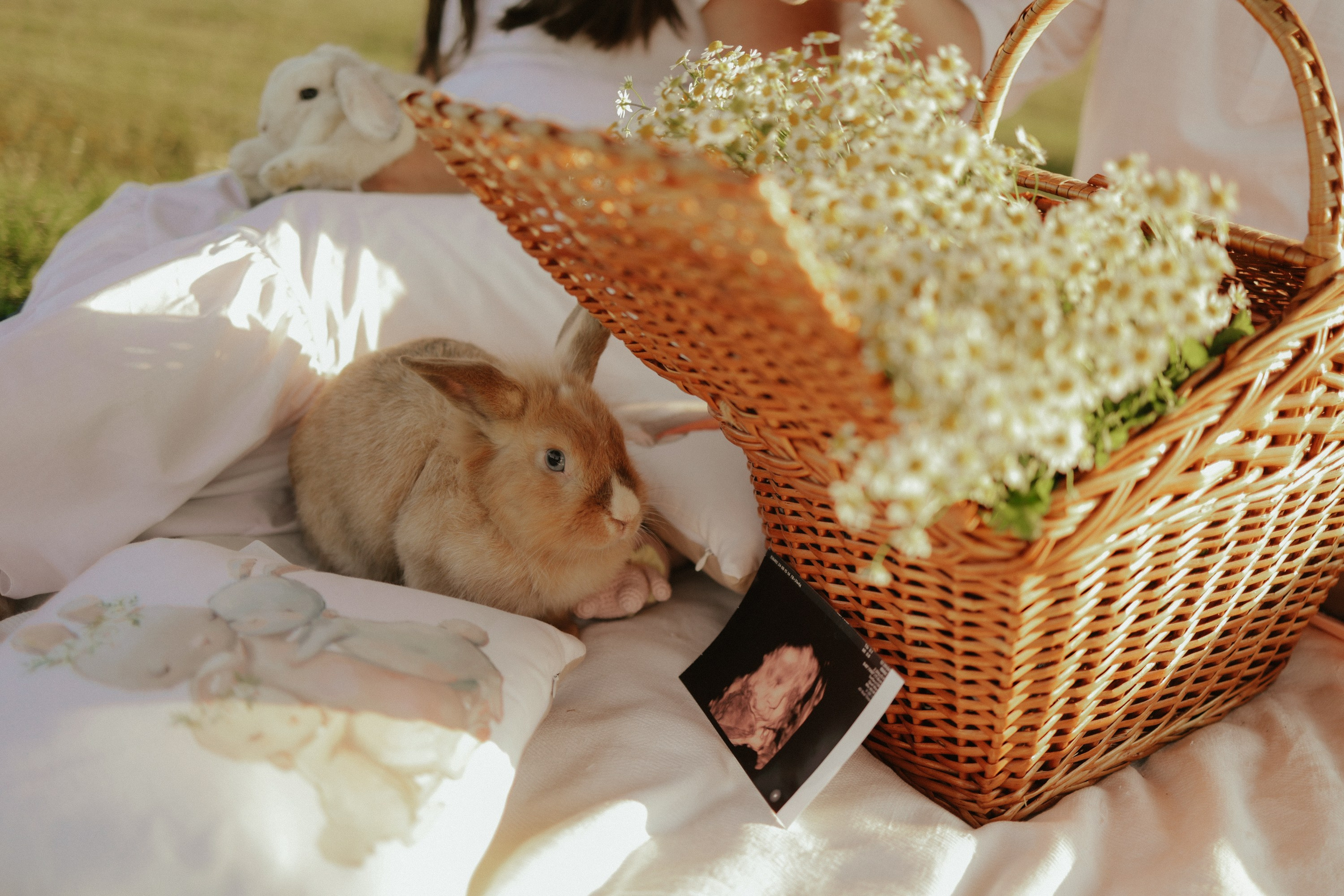 Семейные фотосессии в Нижнем Новгороде. Фотограф и видеограф Елена Лисина