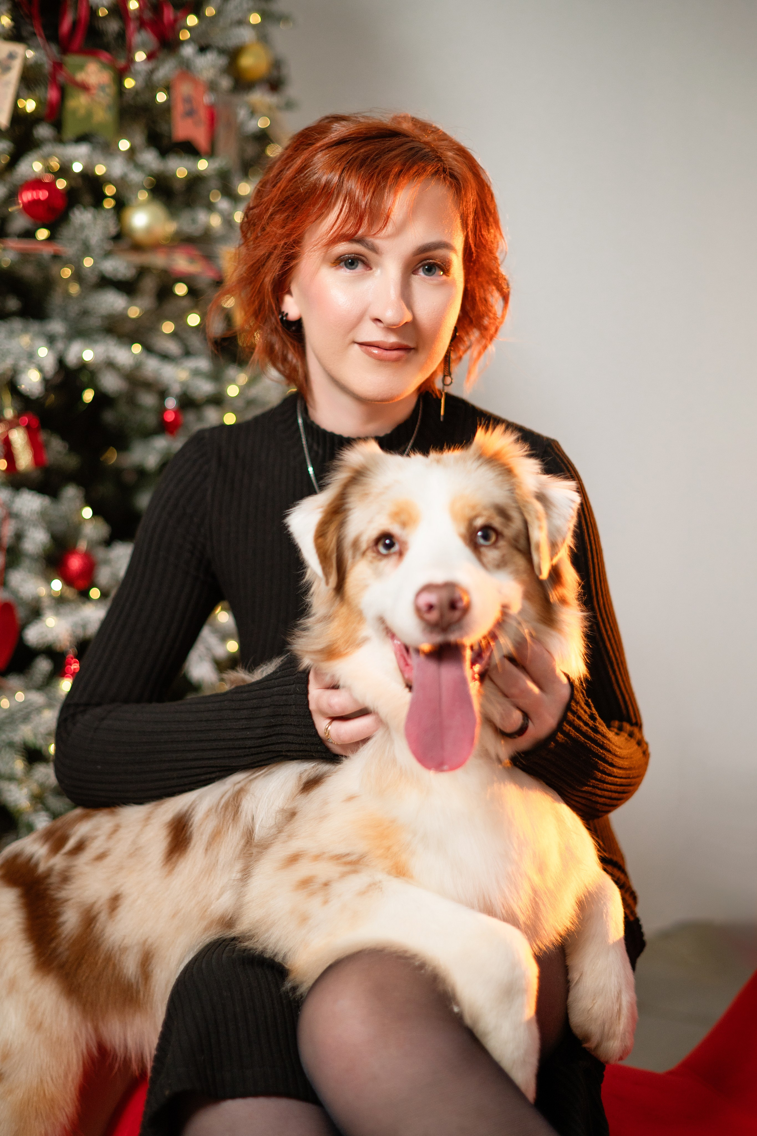 Фотодень с Австралийской овчаркой. Творческий фотограф Вологда