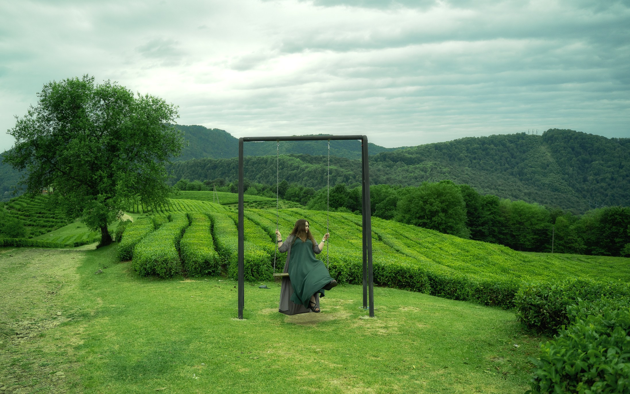 Фотосессии в Сочи чайные плантации