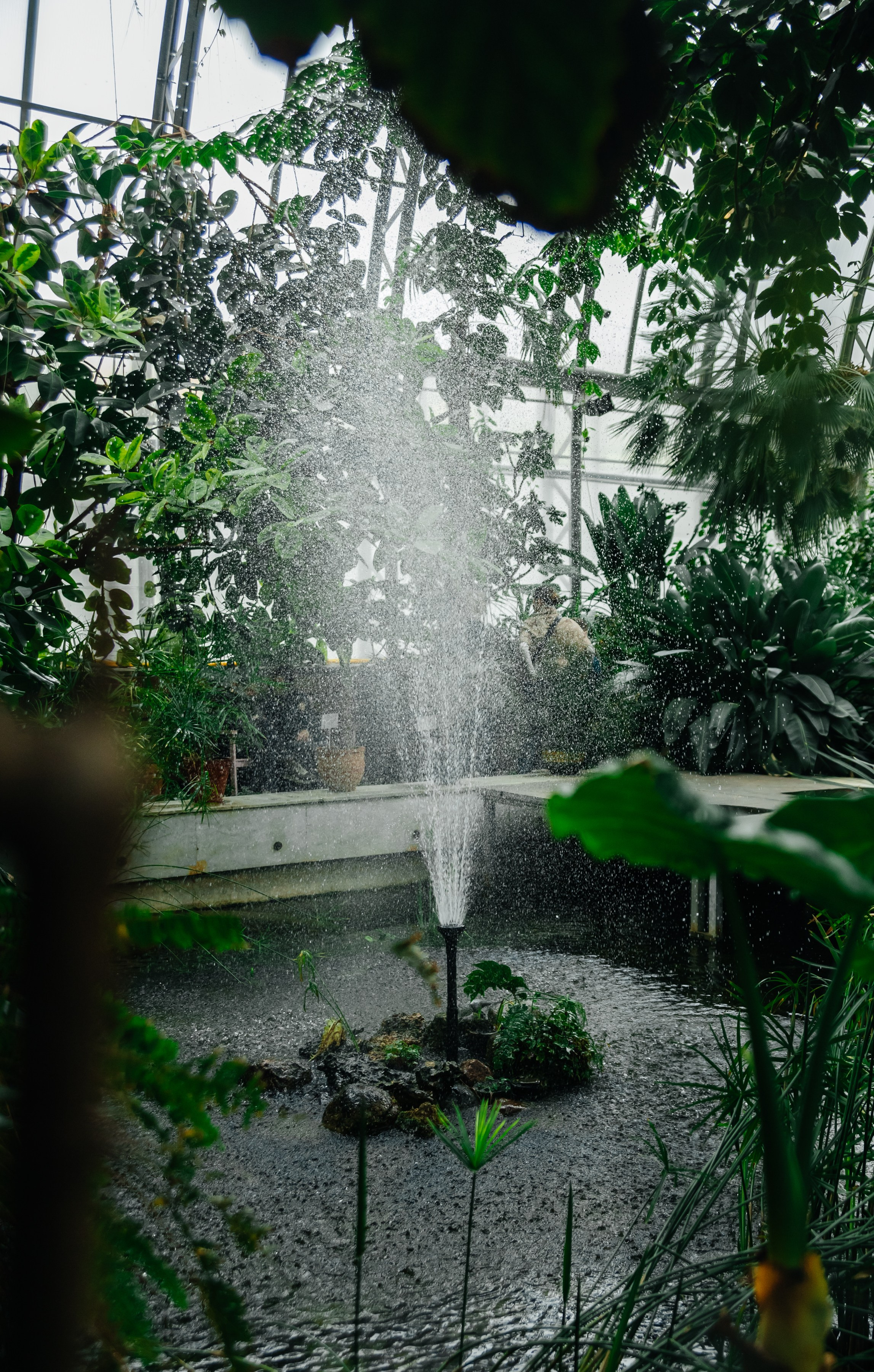 Летняя серия весной. Семейный фотограф, свадебный фотограф, женский портрет в Санкт-Петербу