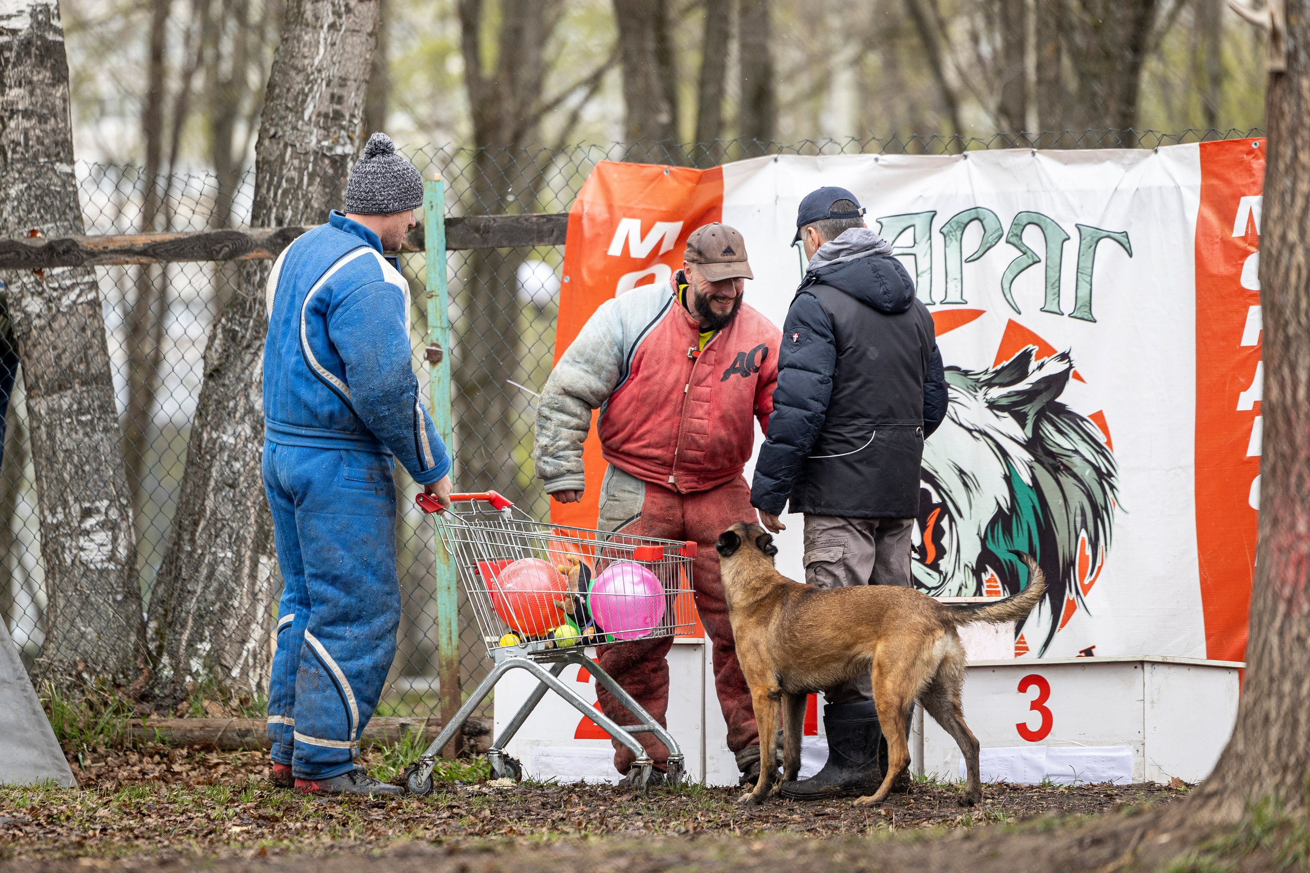 Квалификационные состязания по мондьорингу г. Вологда 11.05.24. Фотограф-анималист Анна Маринич