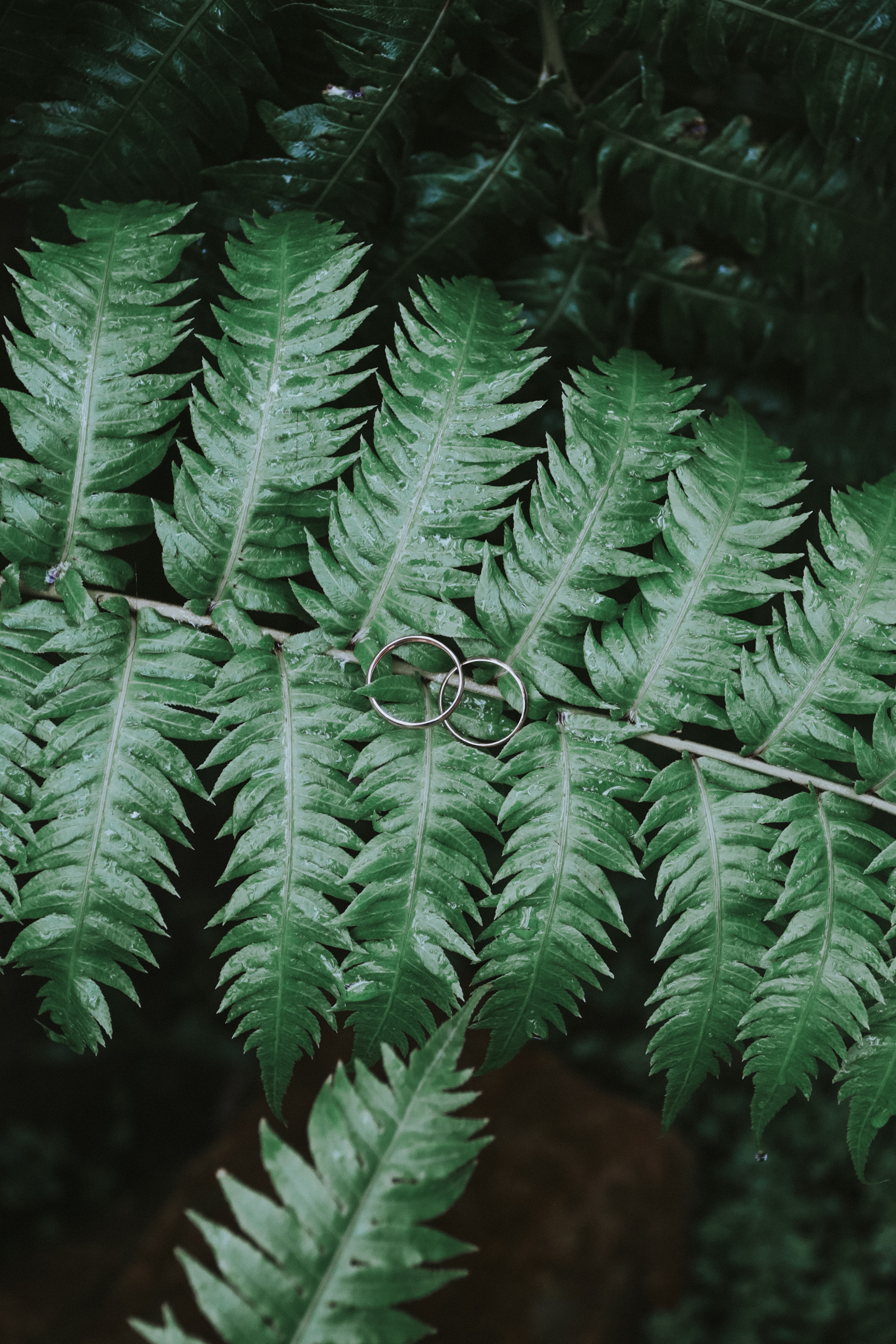 Фотограф Артапова Алёна москва