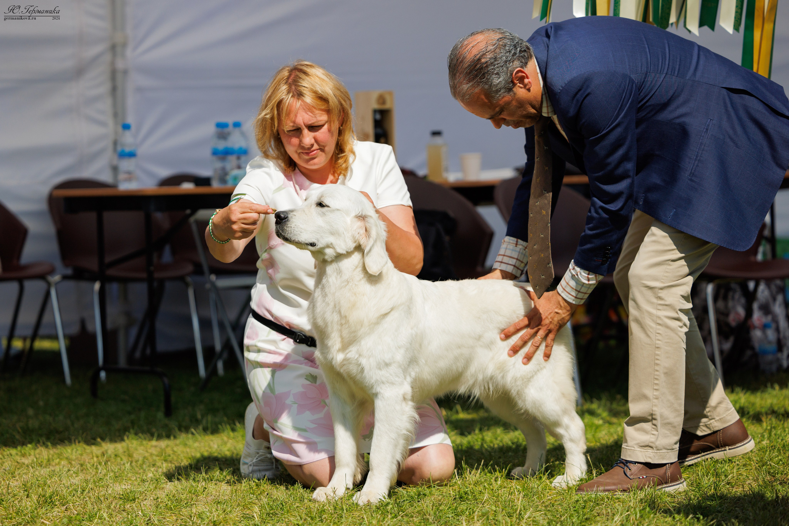 Голдены 15-16.06.2024. Фотограф-анималист Юлия Германика