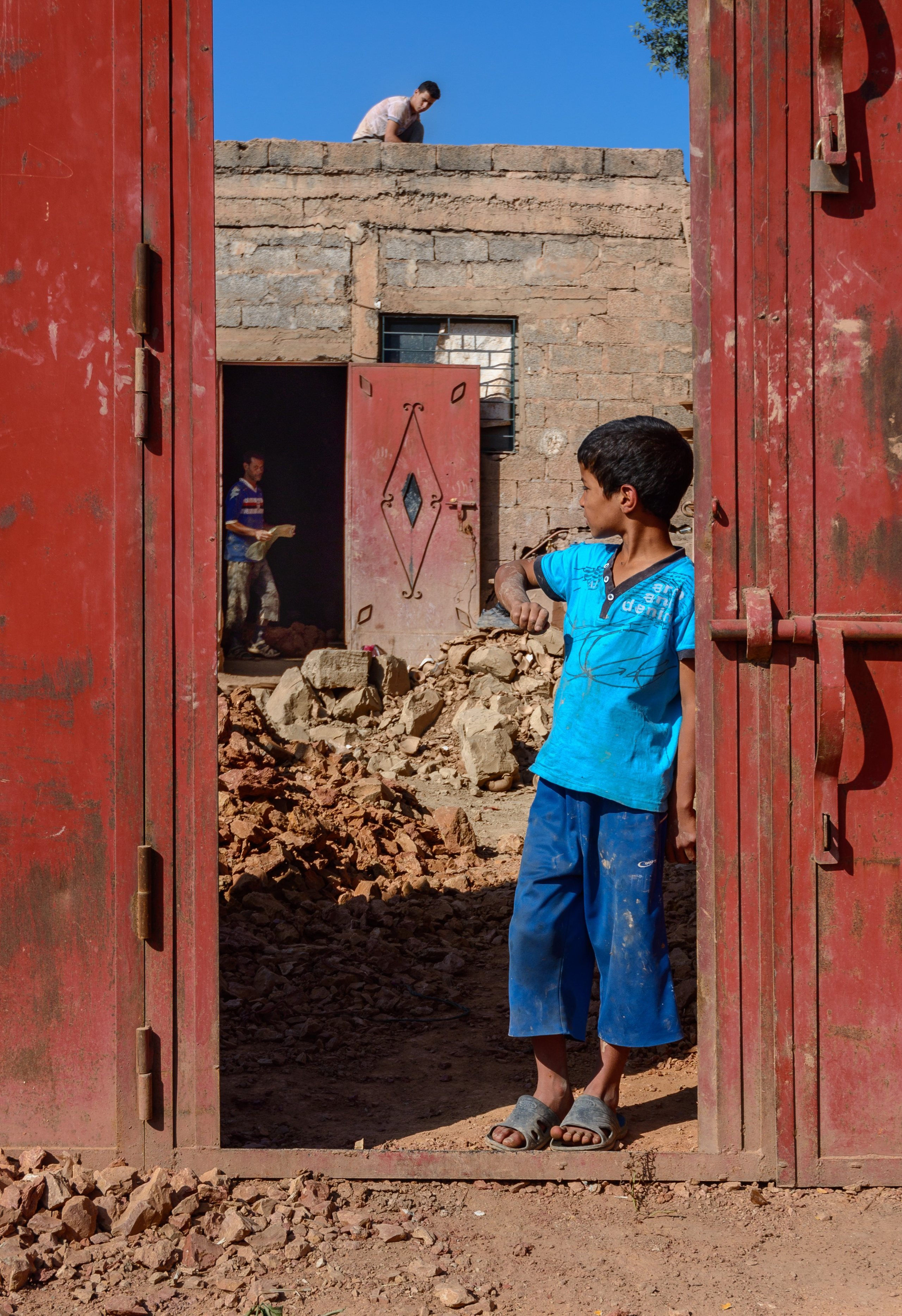 Обитатели синего города. Пейзажный фотограф Сергей Пестерев. Фото природы