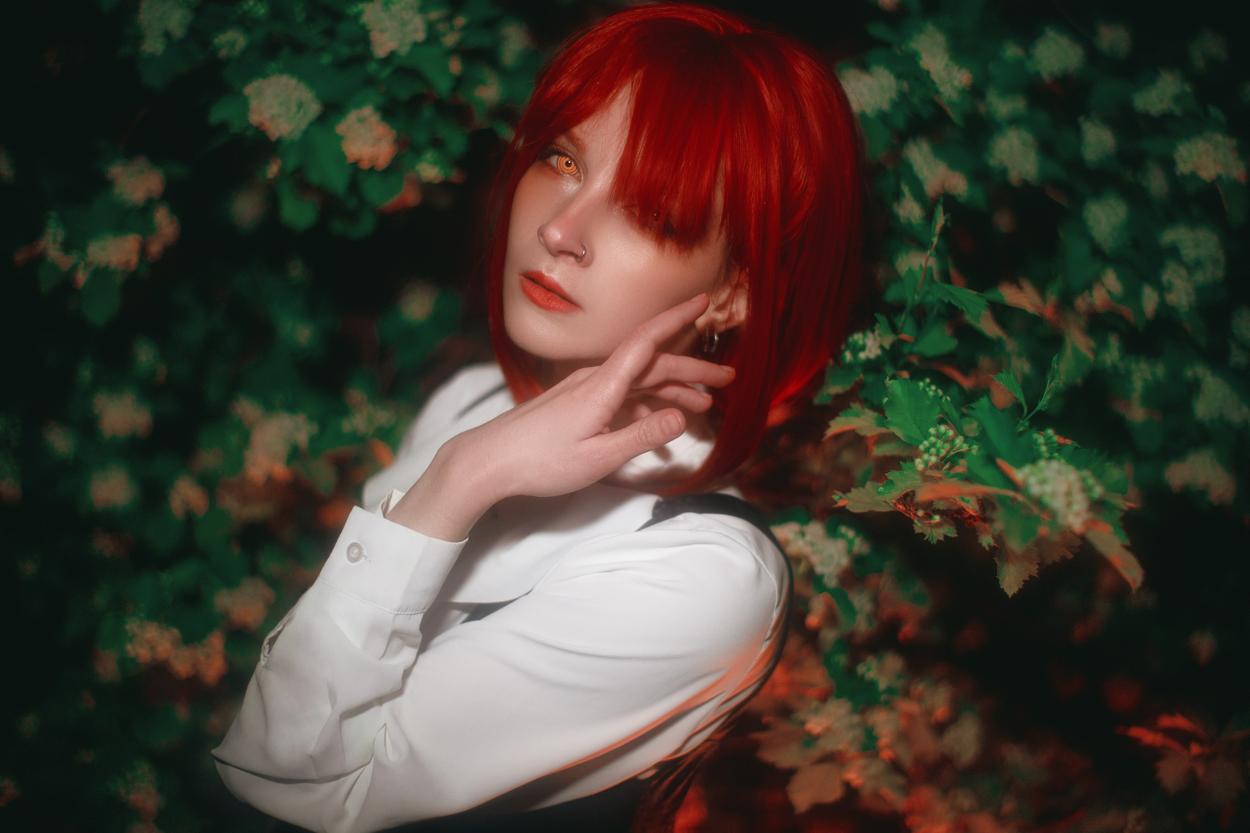 Chainsaw Man: Makima [AU]. Polaroud love