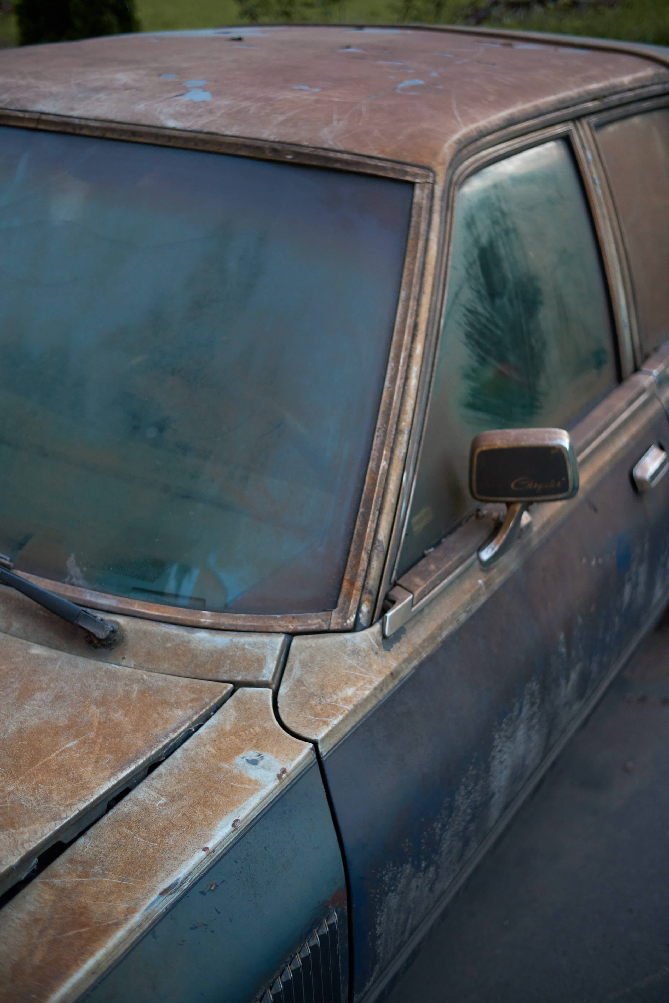 Моменты. Photographer Pavel Romashchenko