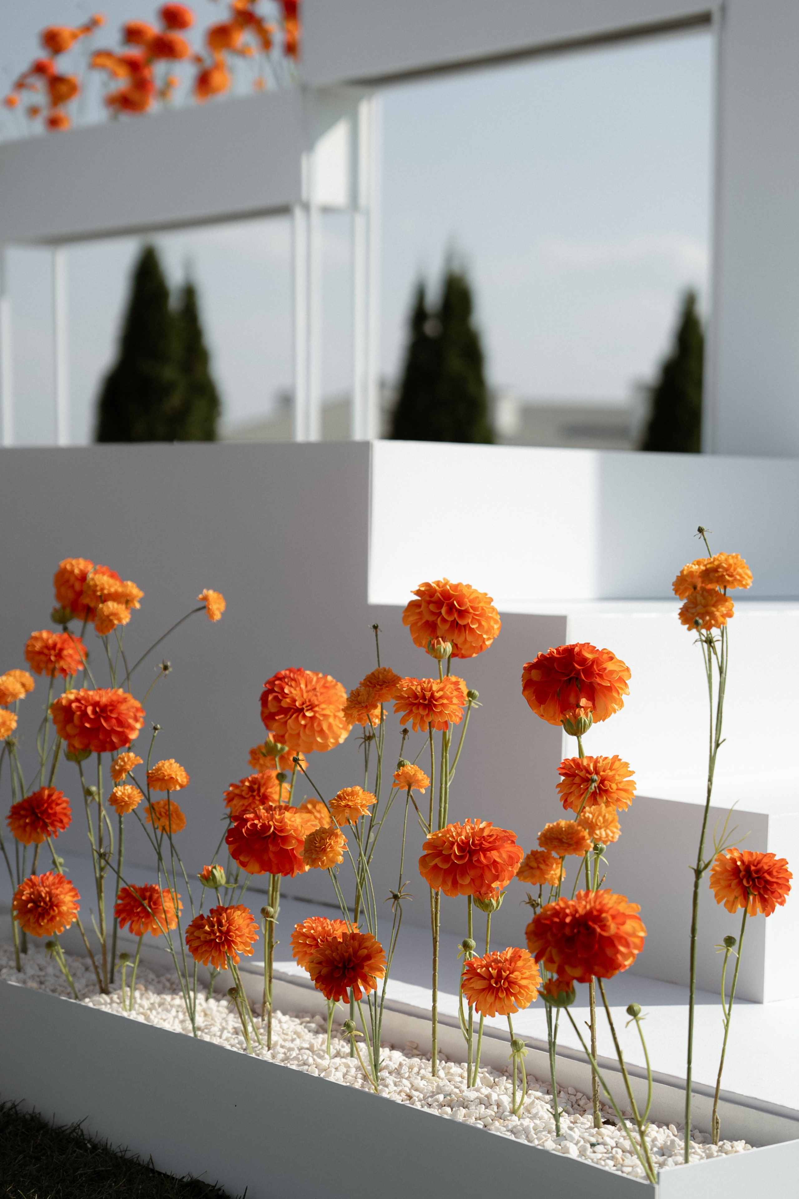 Гермес. Orange. Семейный и портретный фотограф в Саратове Сахарова Маша