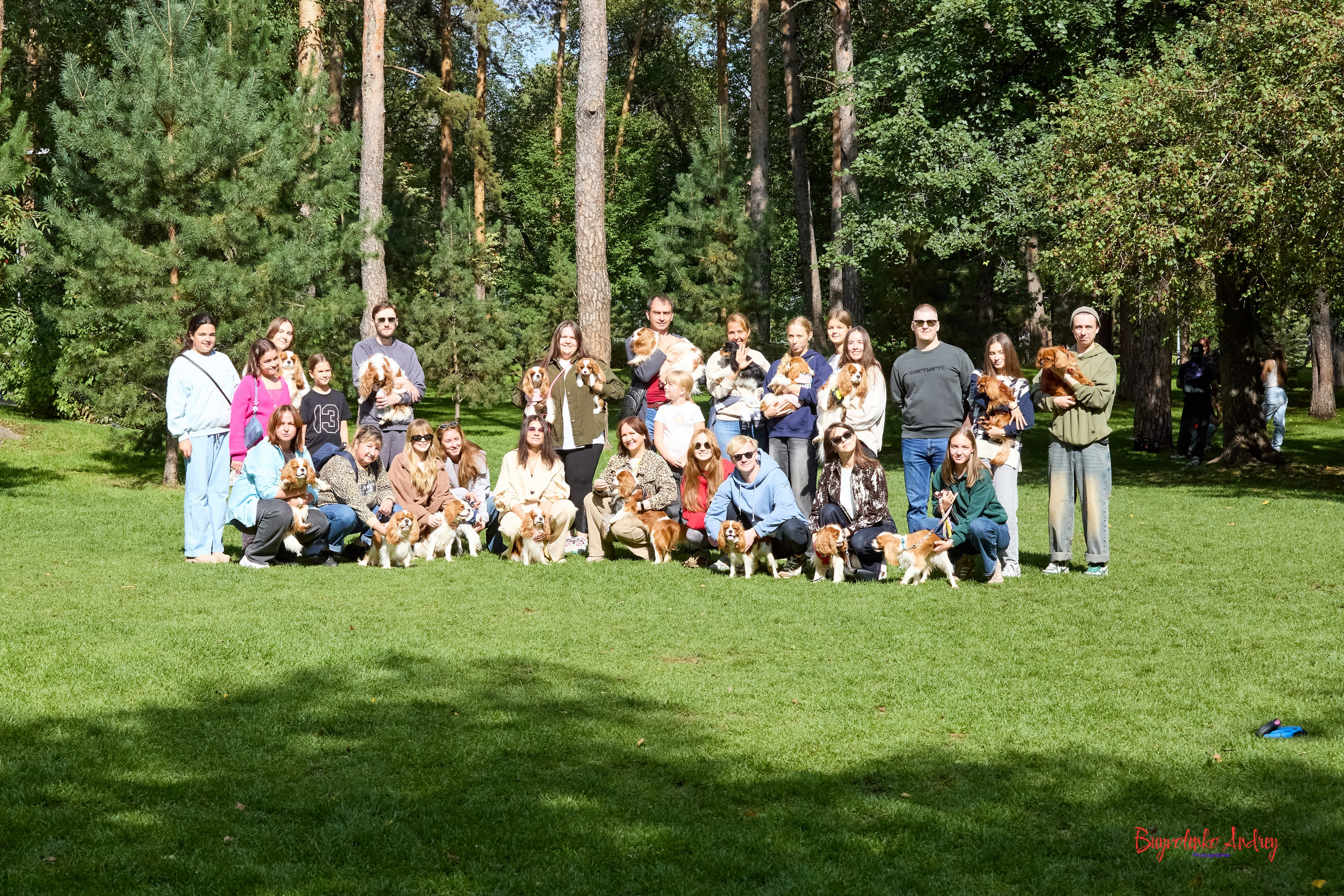 Фотопрогулка с кавалерами. Buyvolenko Andrey