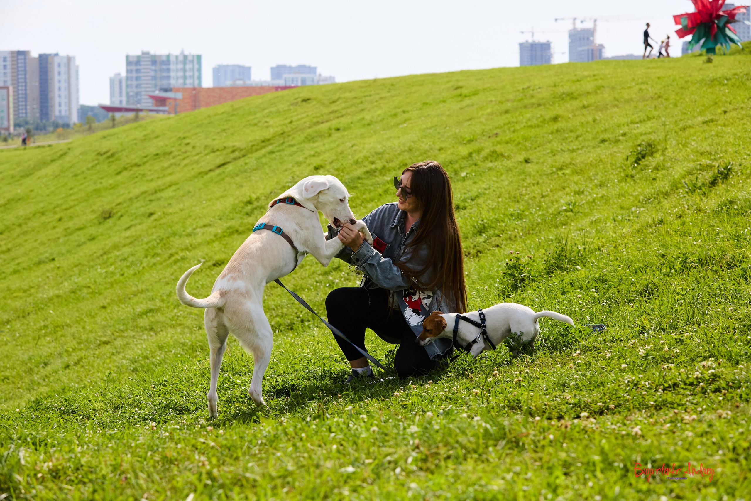 Проект фотопрогулка с хвостиком. Buyvolenko Andrey