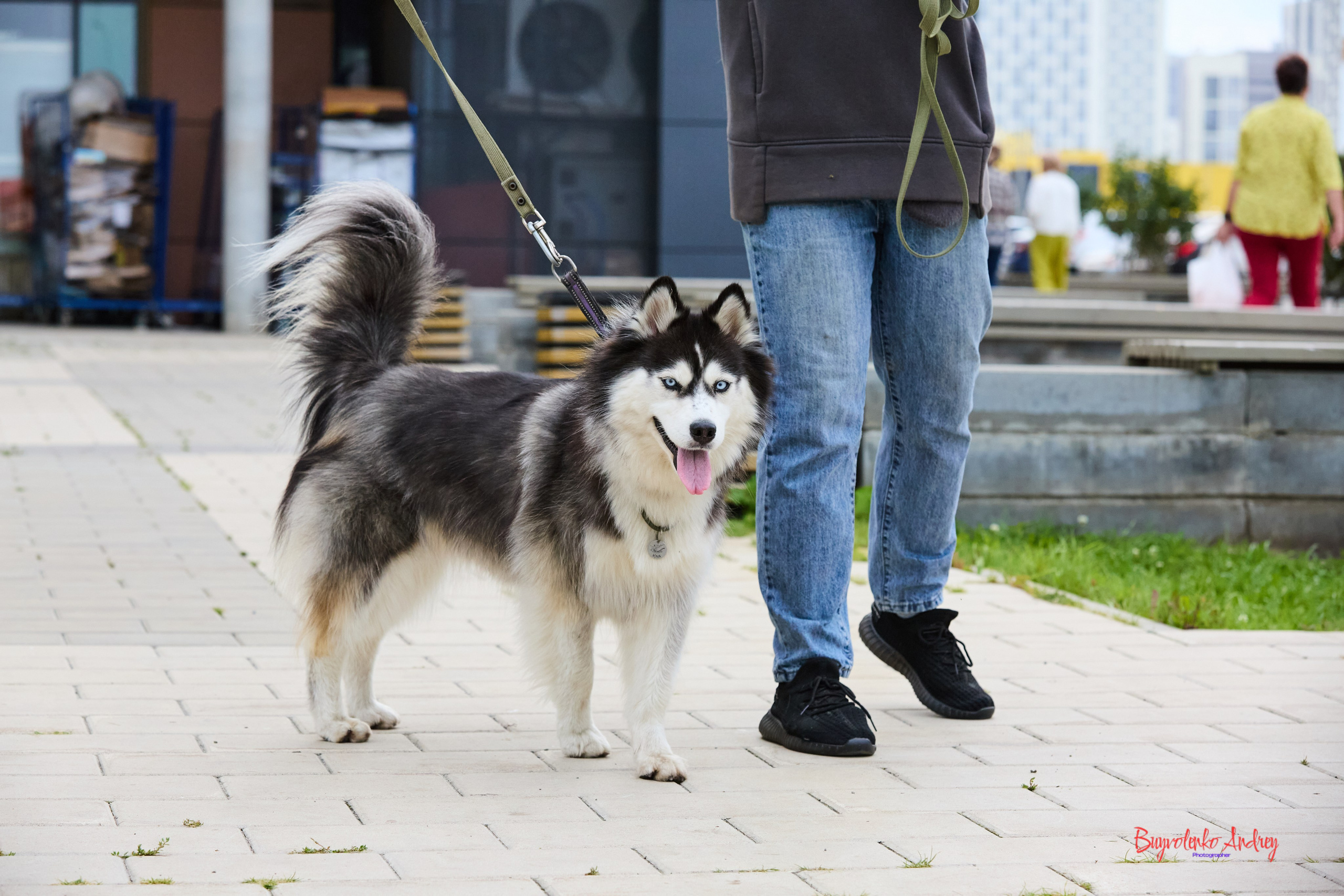 Проект фотопрогулка с хвостиком. Buyvolenko Andrey