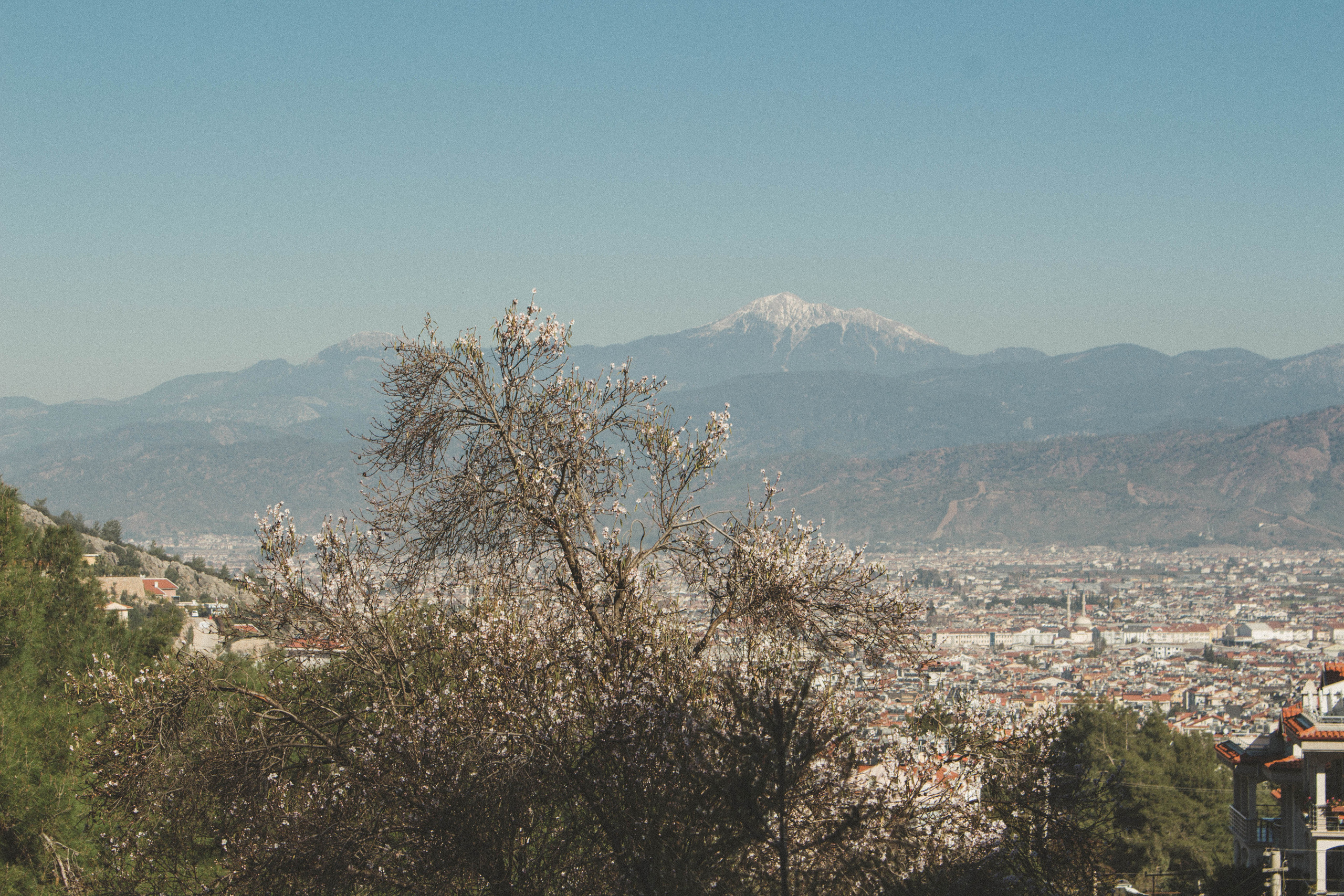Семейные сказочные походы. Фотограф Шагалов Михаил