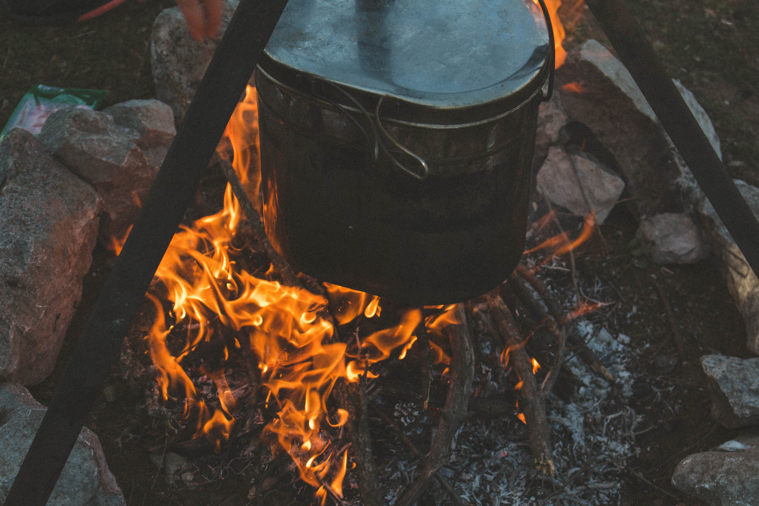 Семейные сказочные походы. Фотограф Шагалов Михаил