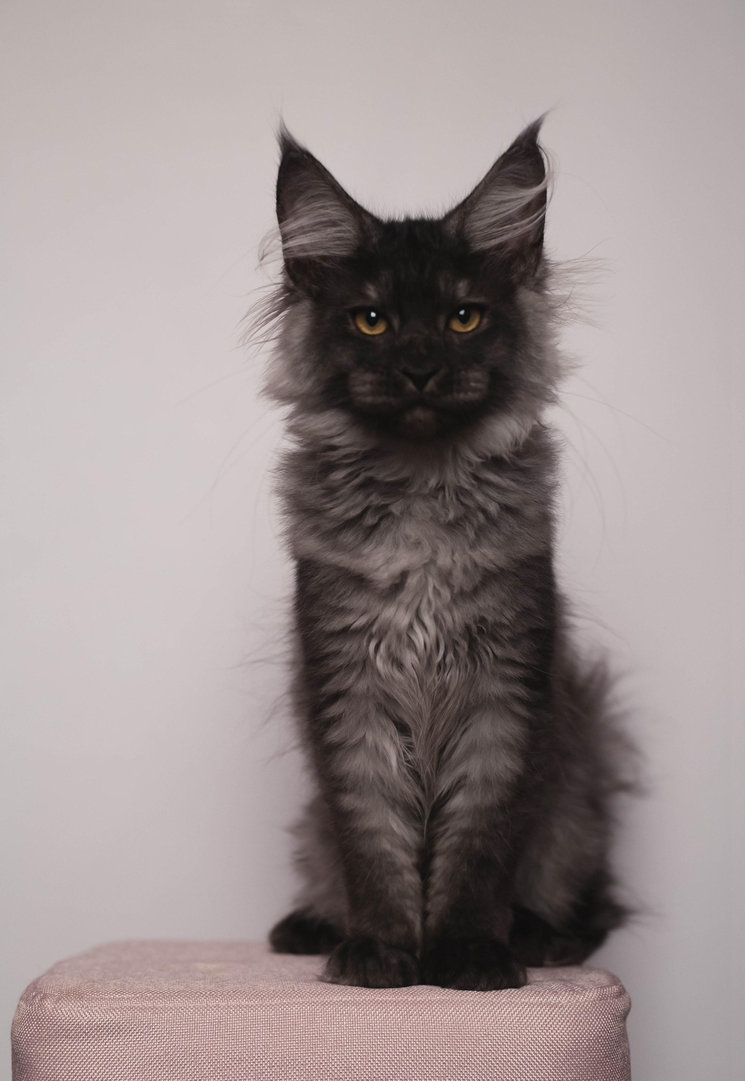 HanFors. Женский и предметный фотограф