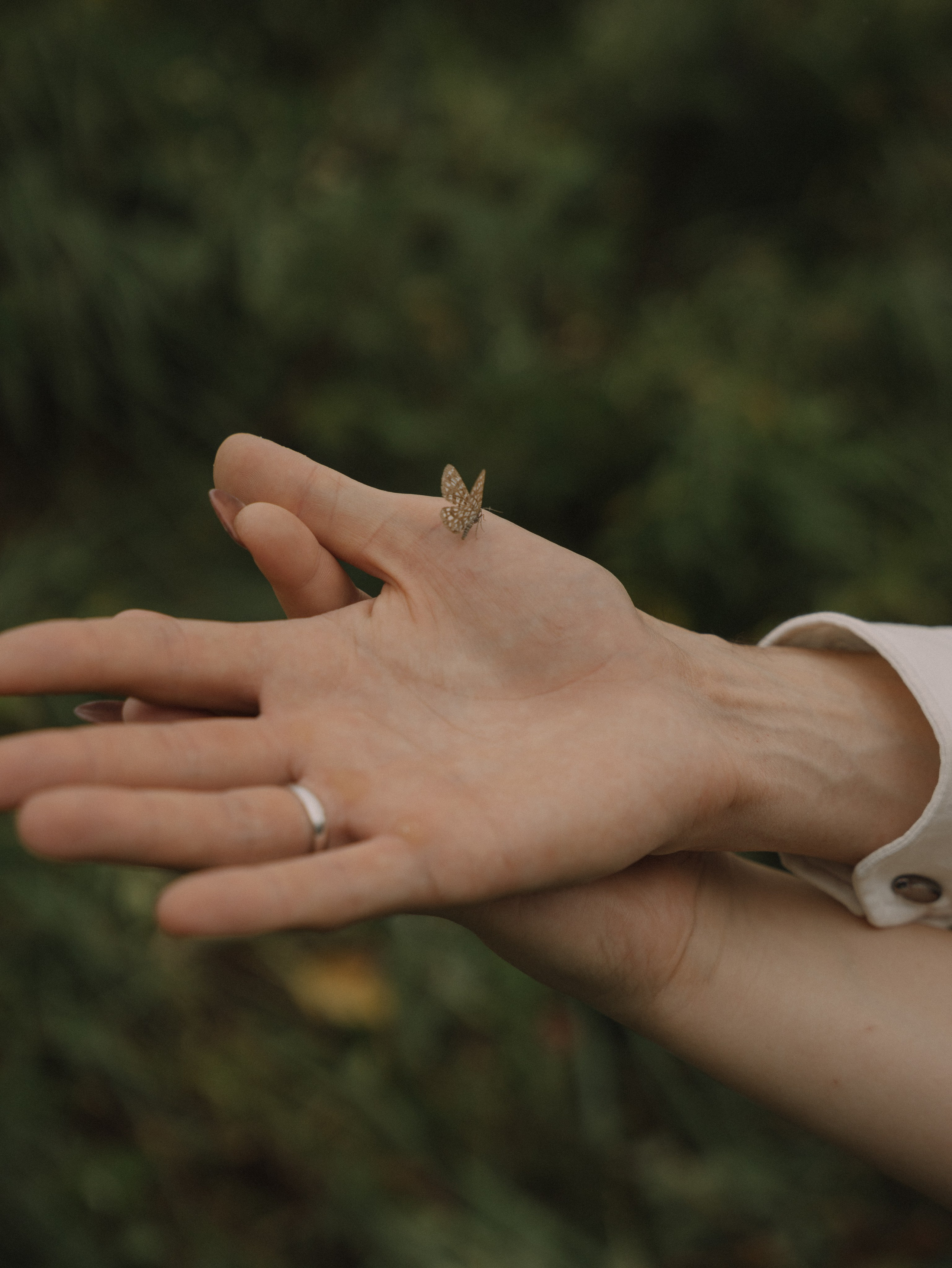 А&А. Свадебный фотограф Ирина Беляева Пятигорск|Кисловодск|Эльбрус|Домбай