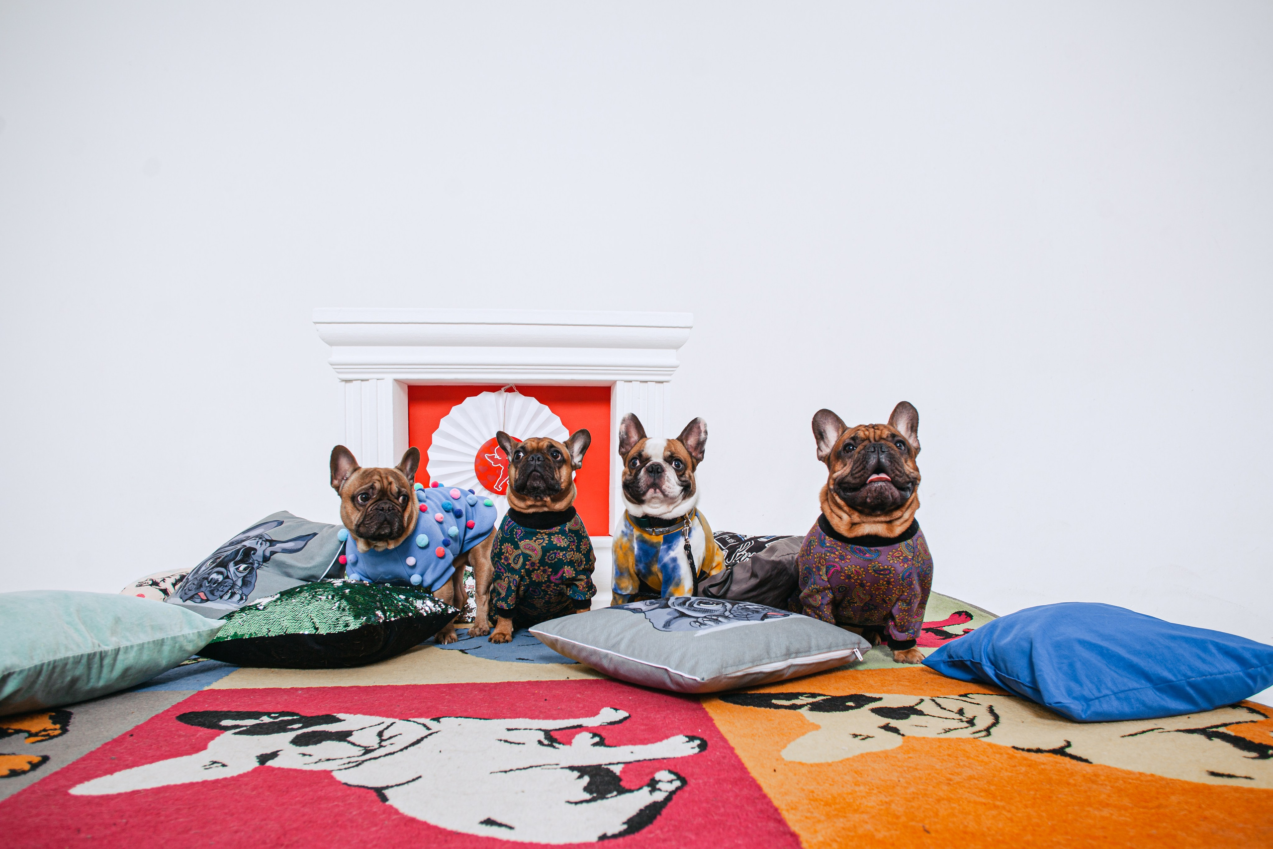 Пижамная вечеринка французских бульдогов и их хозяев. Фотограф-анималист Татьяна Степанова