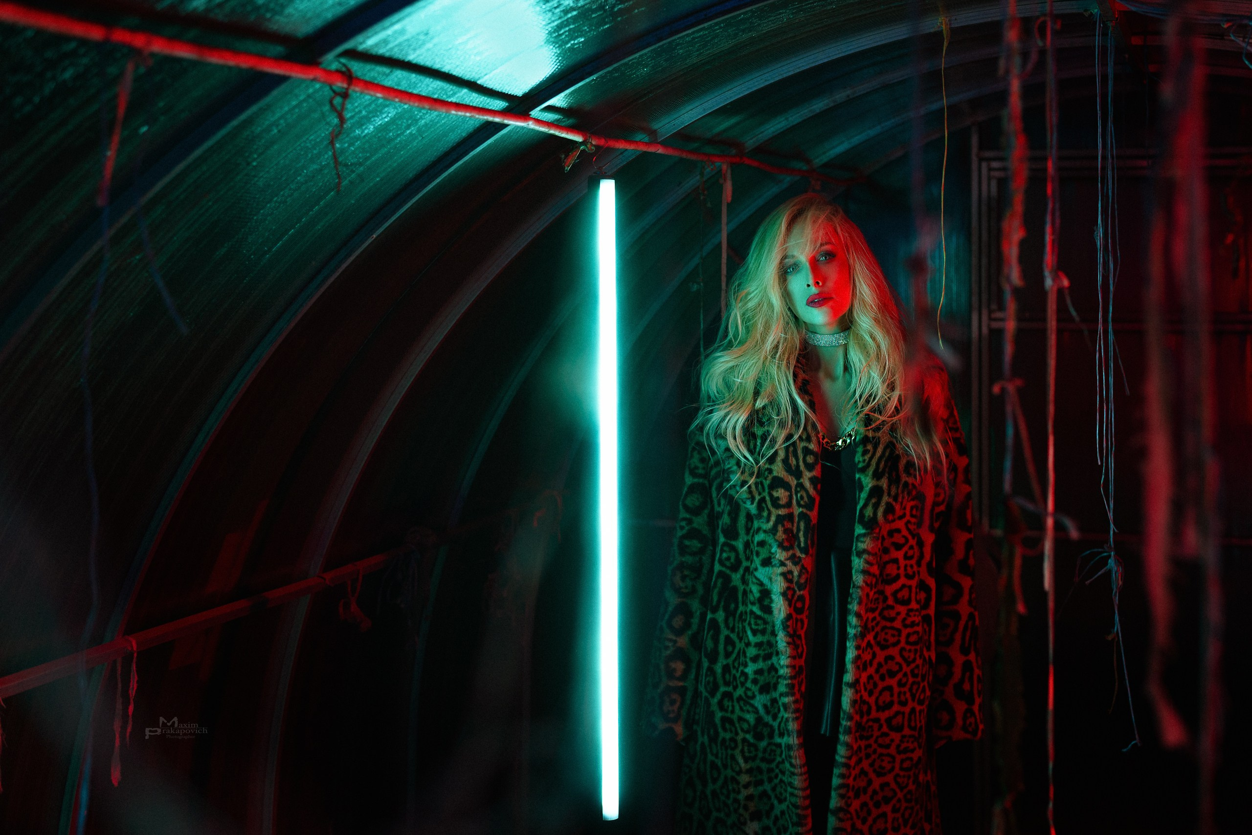 The Greenhouse Project. Фотограф/видеомейкер в Минске, Москве, Витебске, видеосьемка