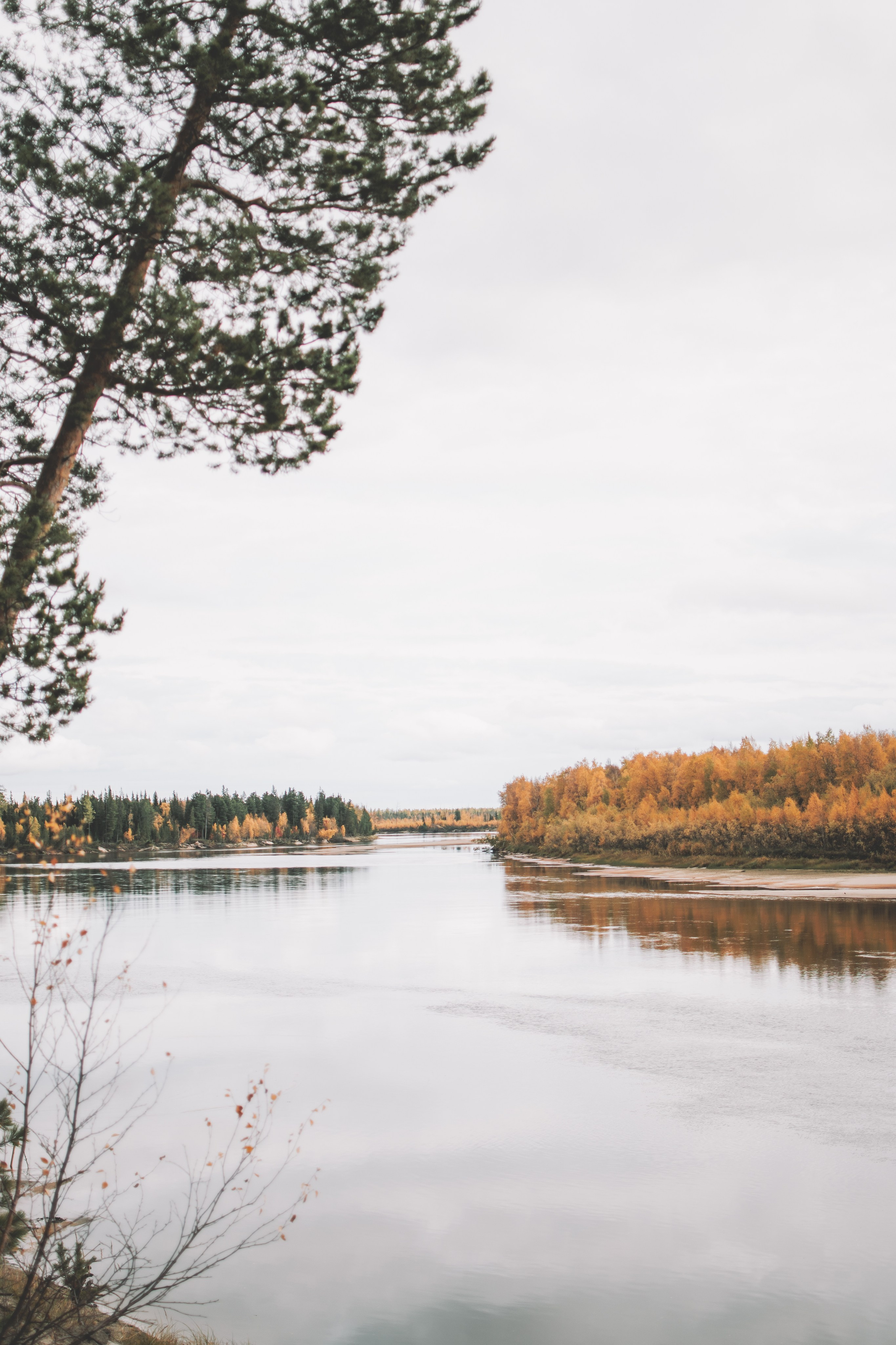 Муслимат. Семейный и свадебный фотограф Губкинский и Ставрополь