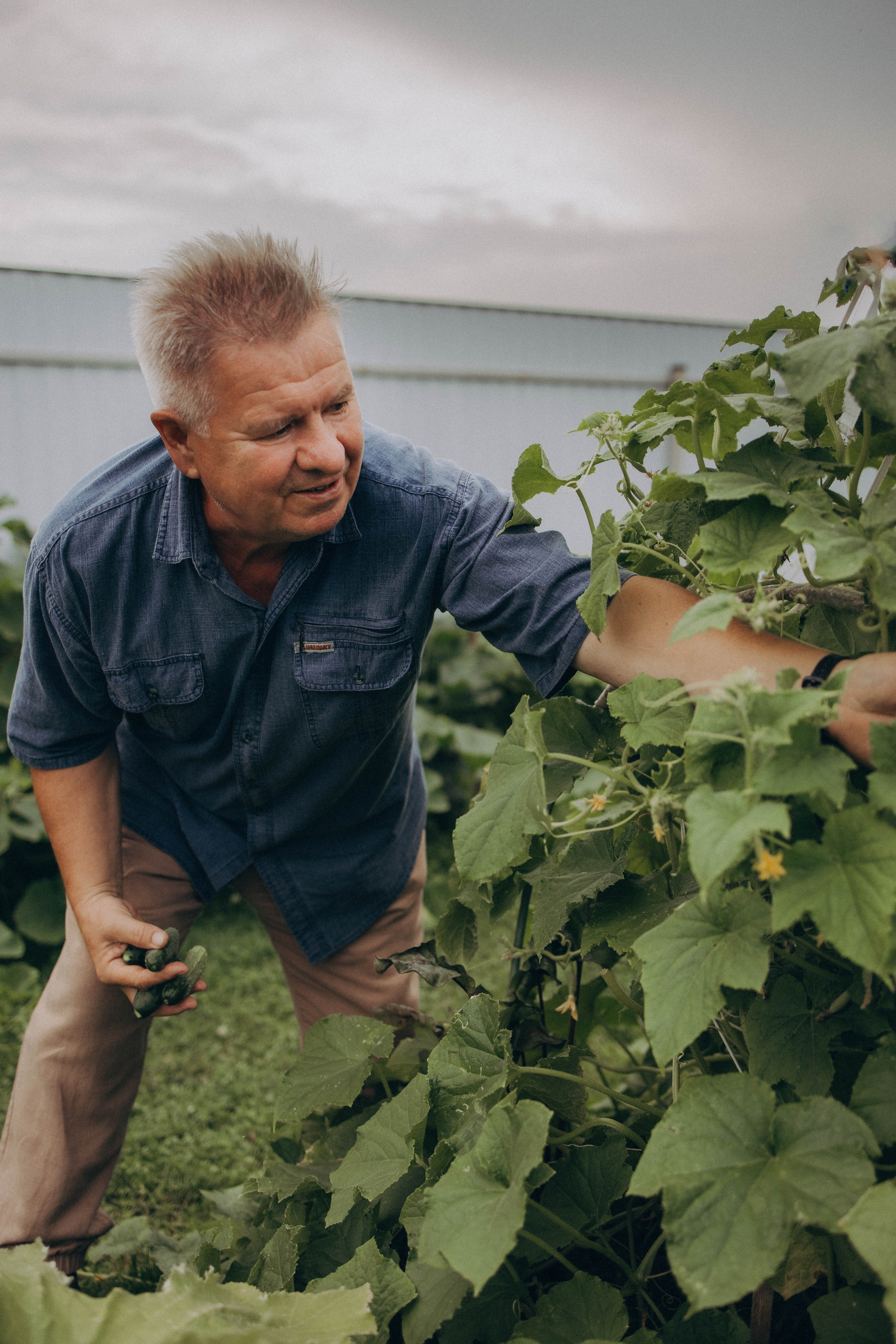 Одним летним днем. Фотограф lifestylе в Москве Пшеничная Анастасия