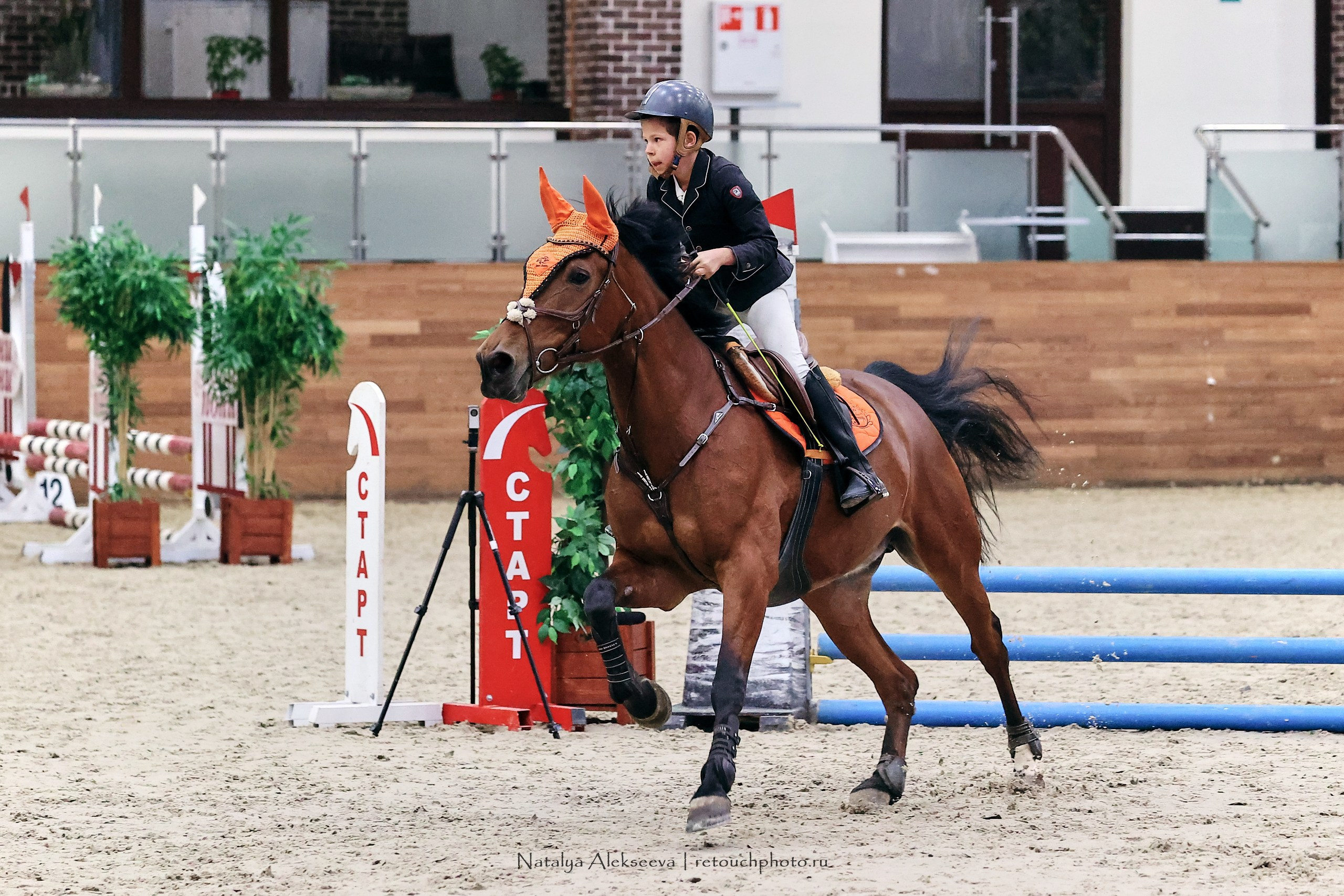 Финал Maxima Park по конкуру, Maxima Stables | 10'2023. Репортажный фотограф и ретушер в Москве Наталья Алексеева