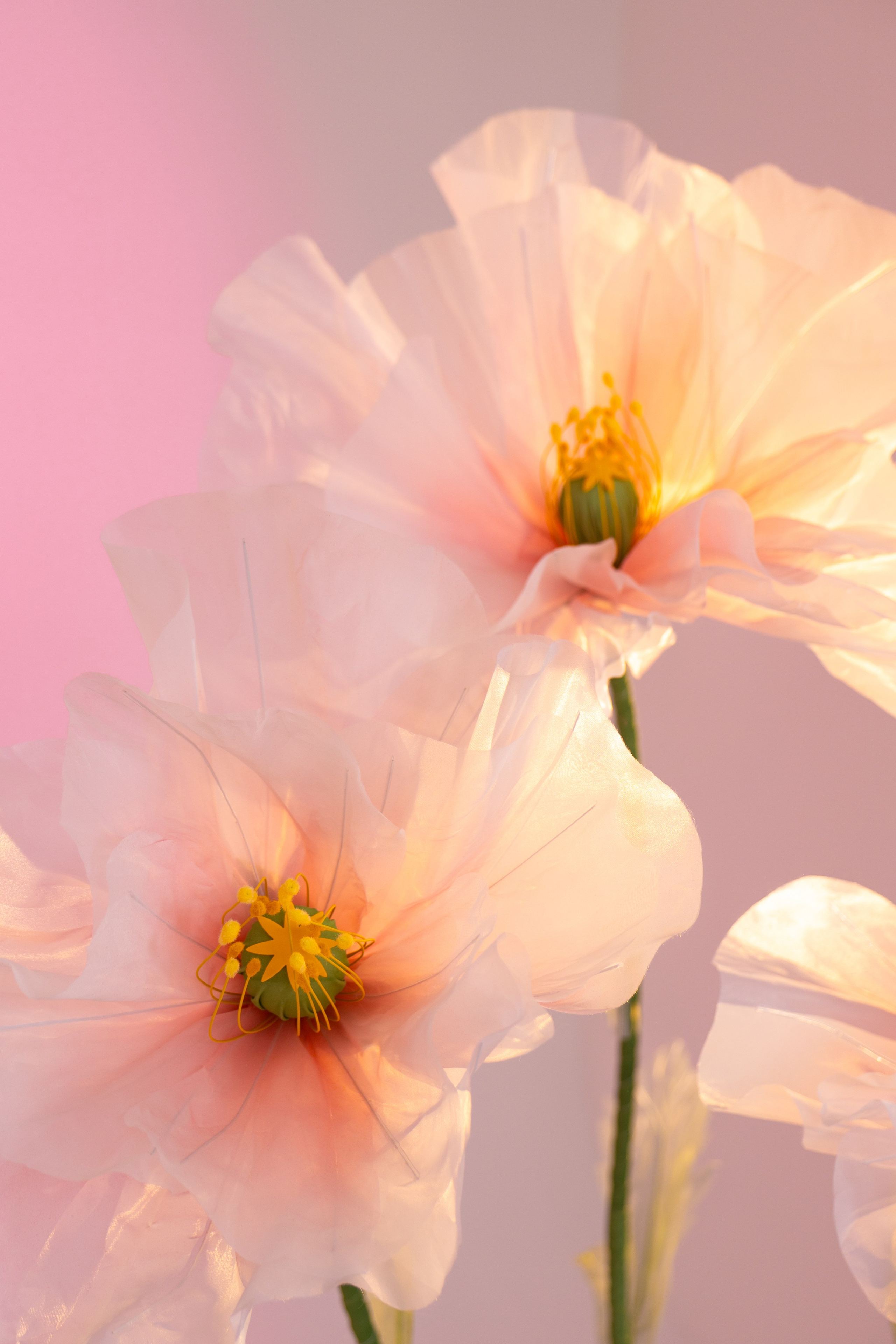 Цветочная фея. Фотограф в Москве Зябченко Екатерина. Съемки беременности, love story, семейный, портреты в студии и на улице