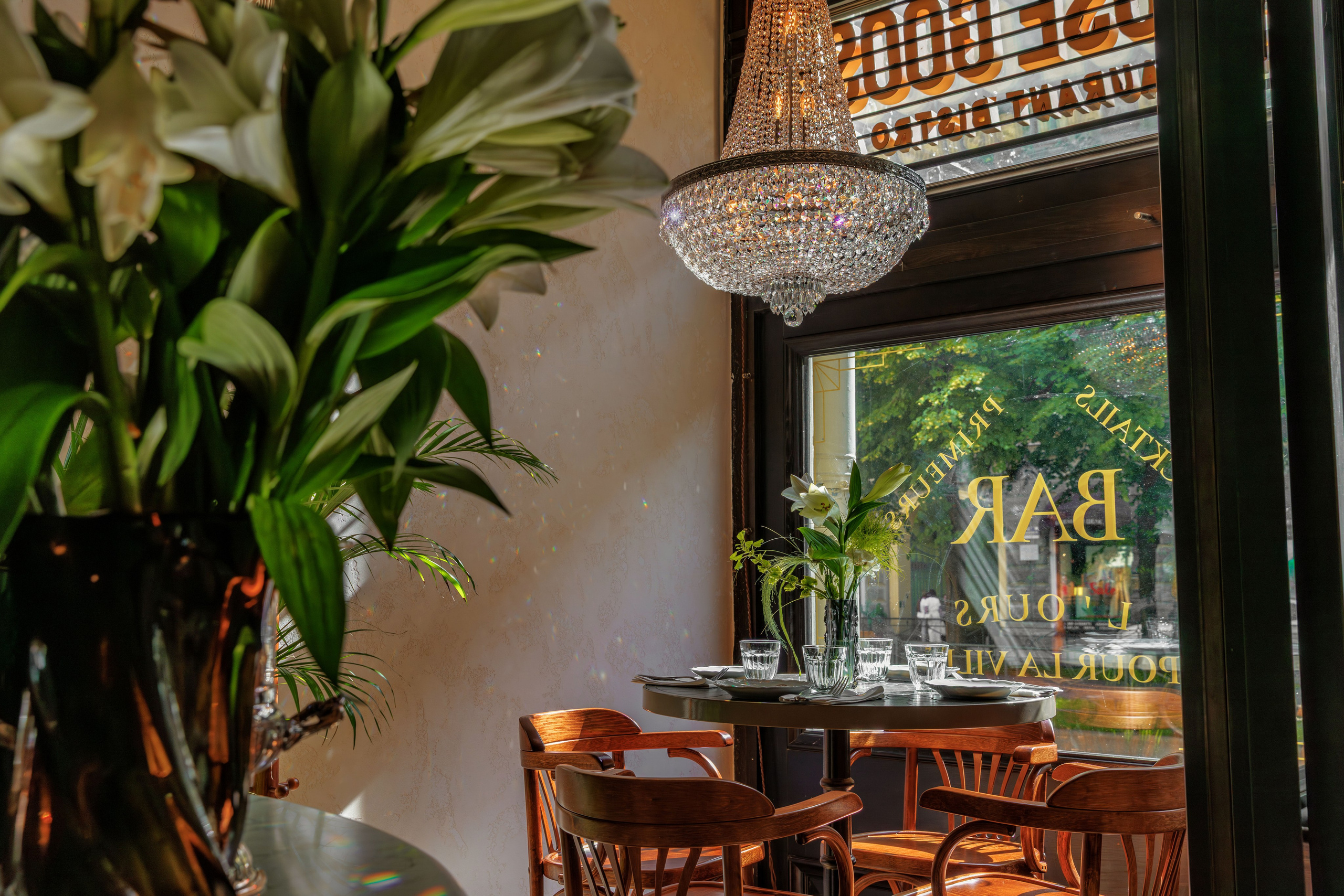 Медведь. Репортажный фотограф в Санкт-Петербурге Жолудев Владислав