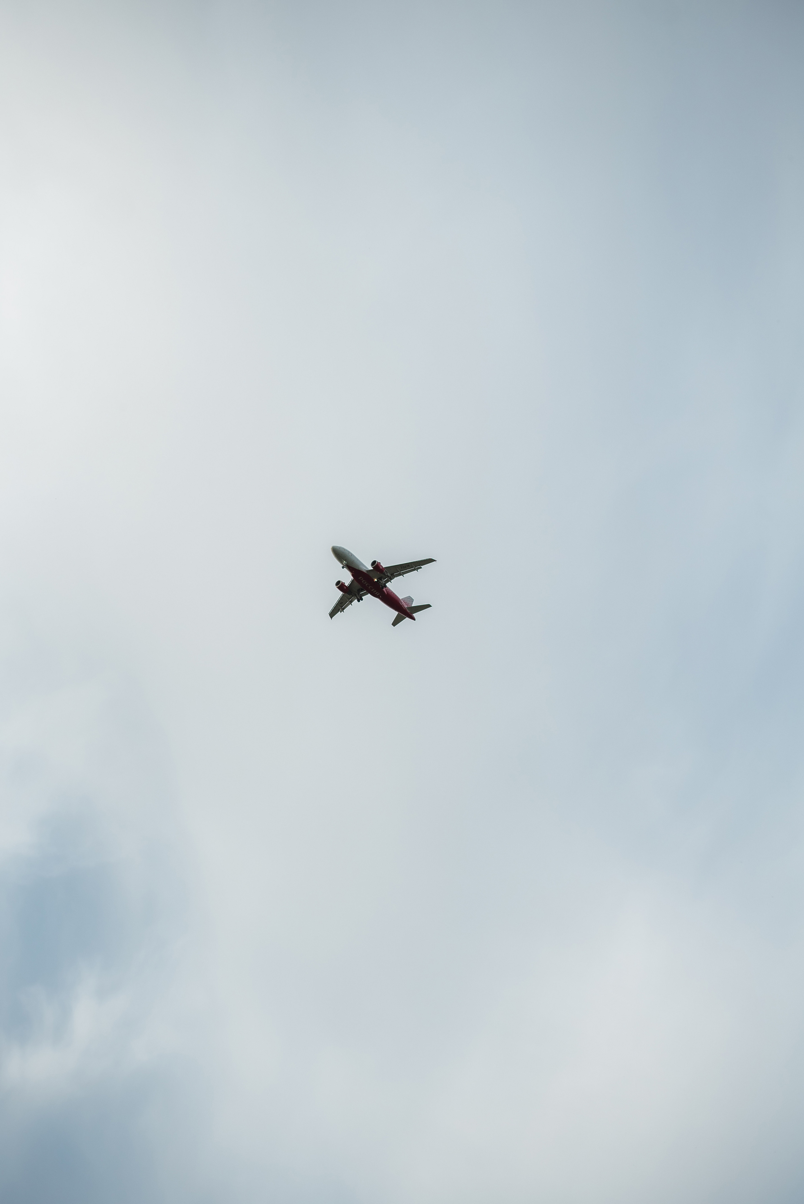 Юлия. Свадебный и семейный фотограф Волгоград Ксения Афонина