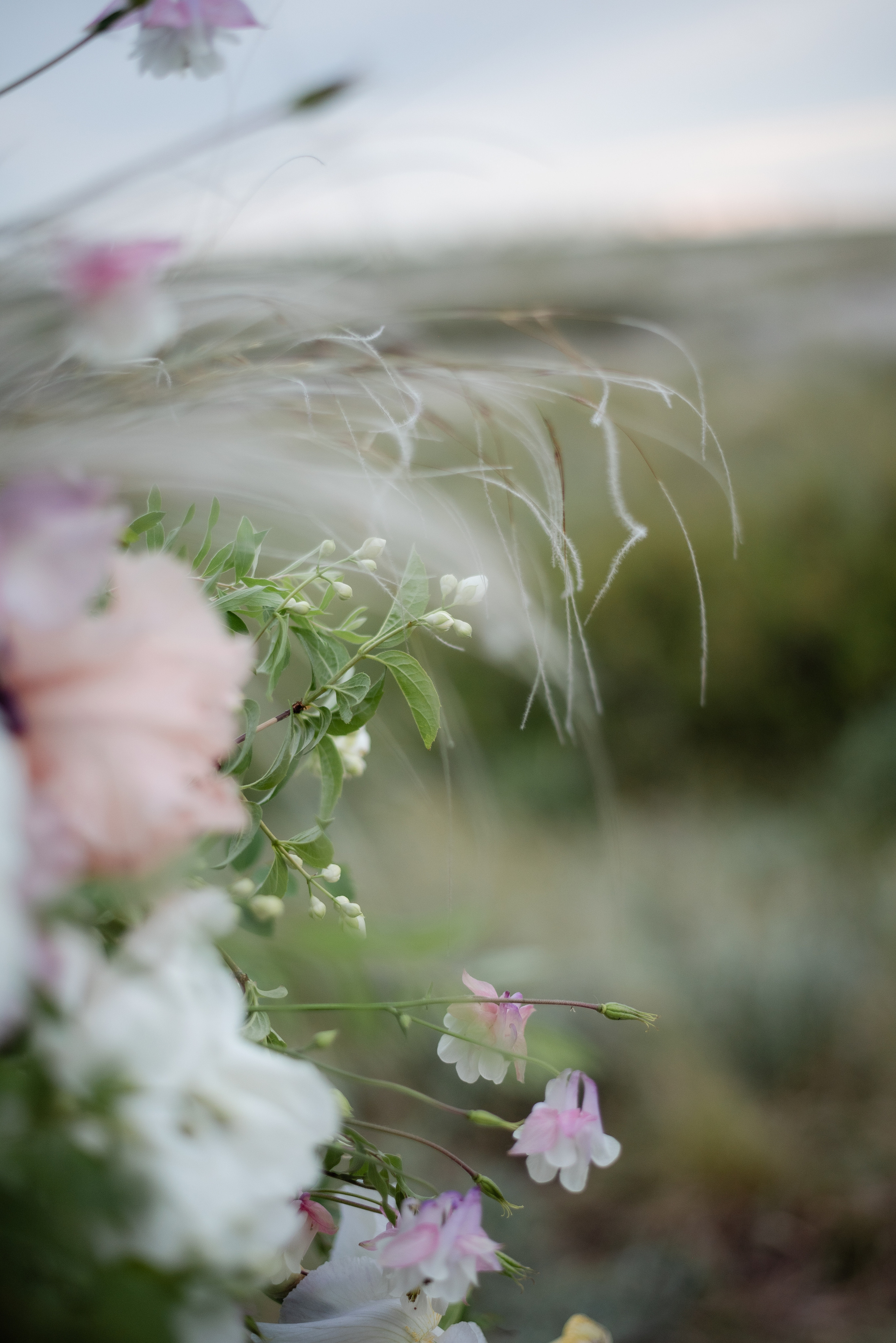 Регина+Александр. Свадебный и семейный фотограф Волгоград Ксения Афонина