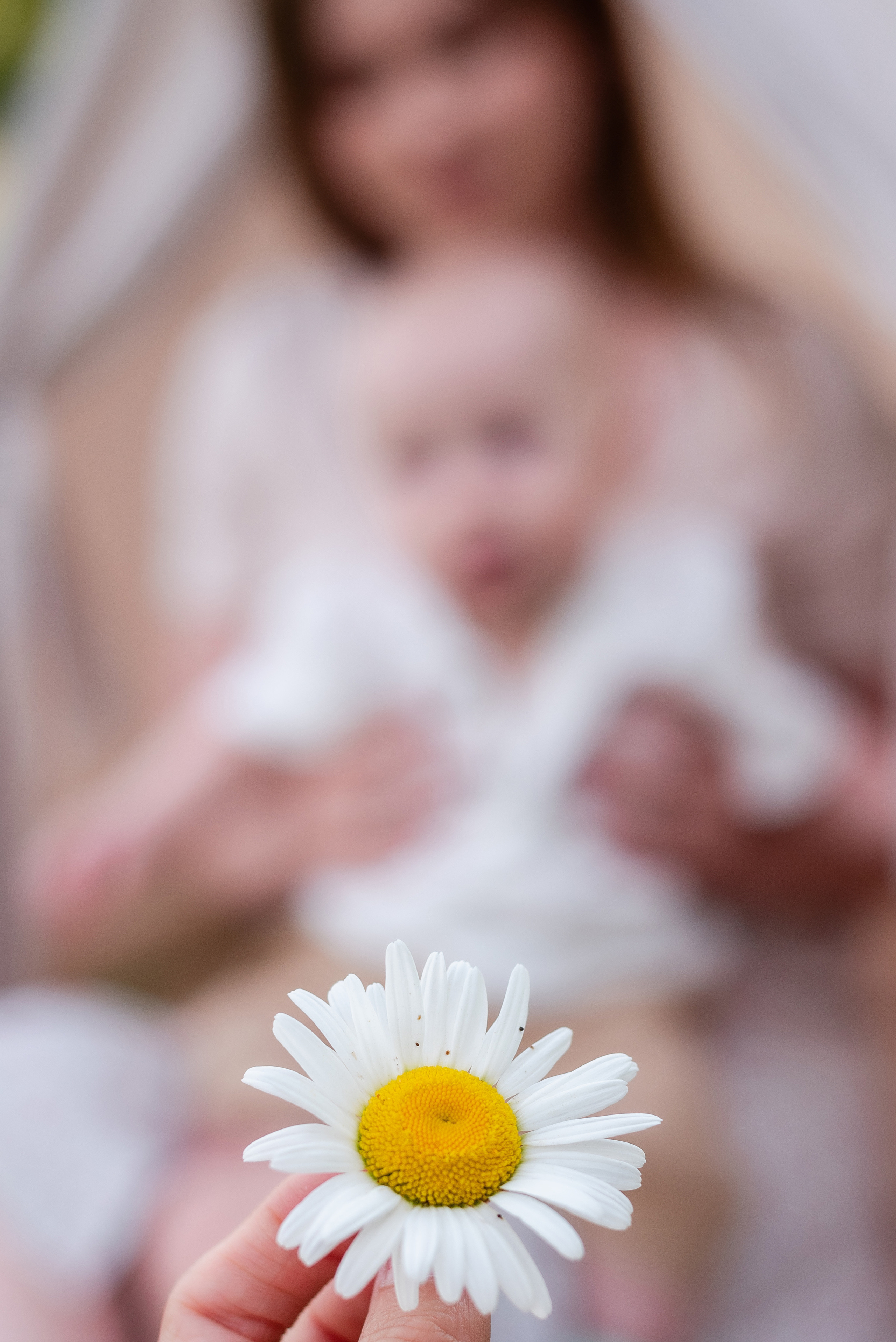 Вера+Саша+Тимофей. Свадебный и семейный фотограф Волгоград Ксения Афонина