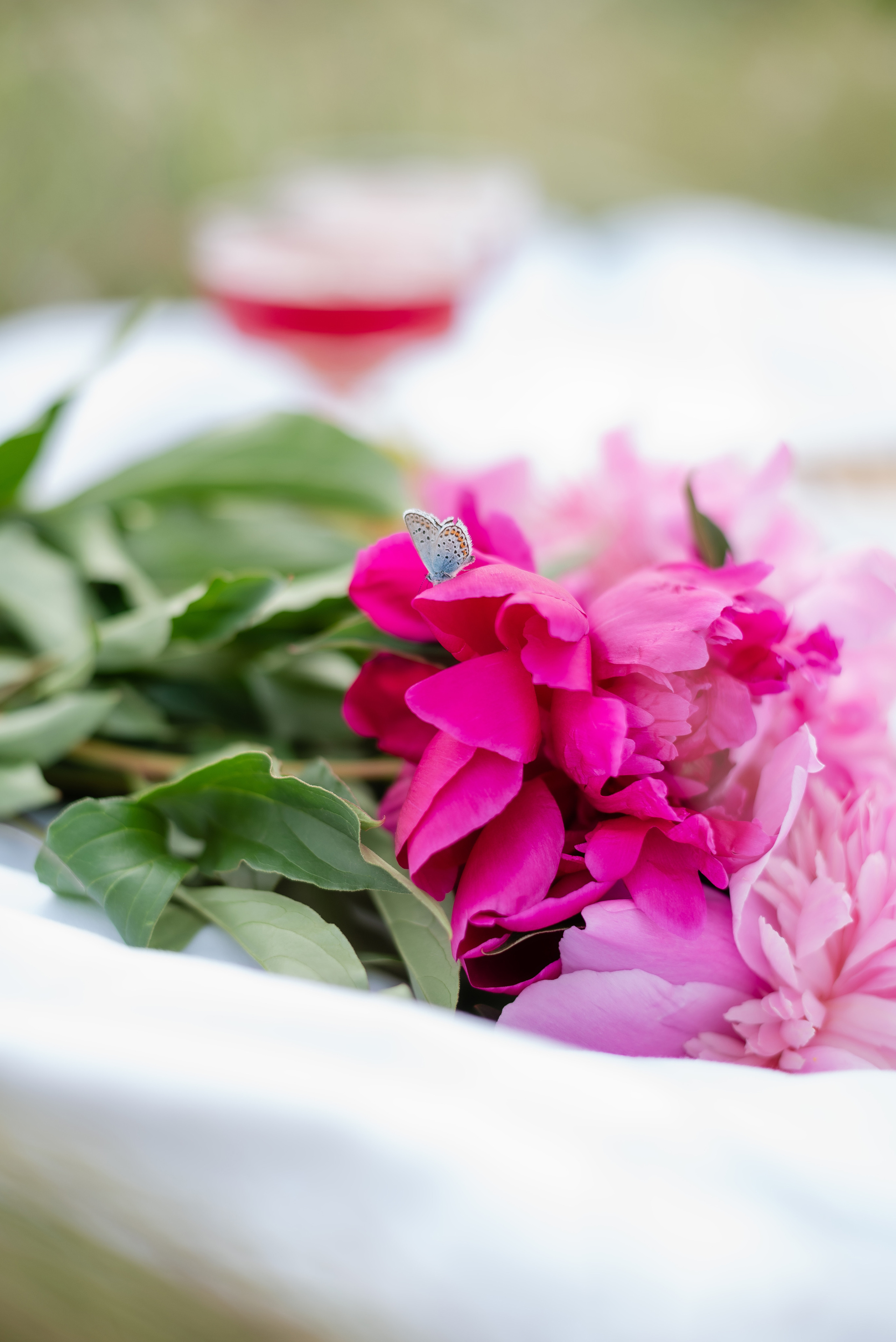 Юлия. Свадебный и семейный фотограф Волгоград Ксения Афонина