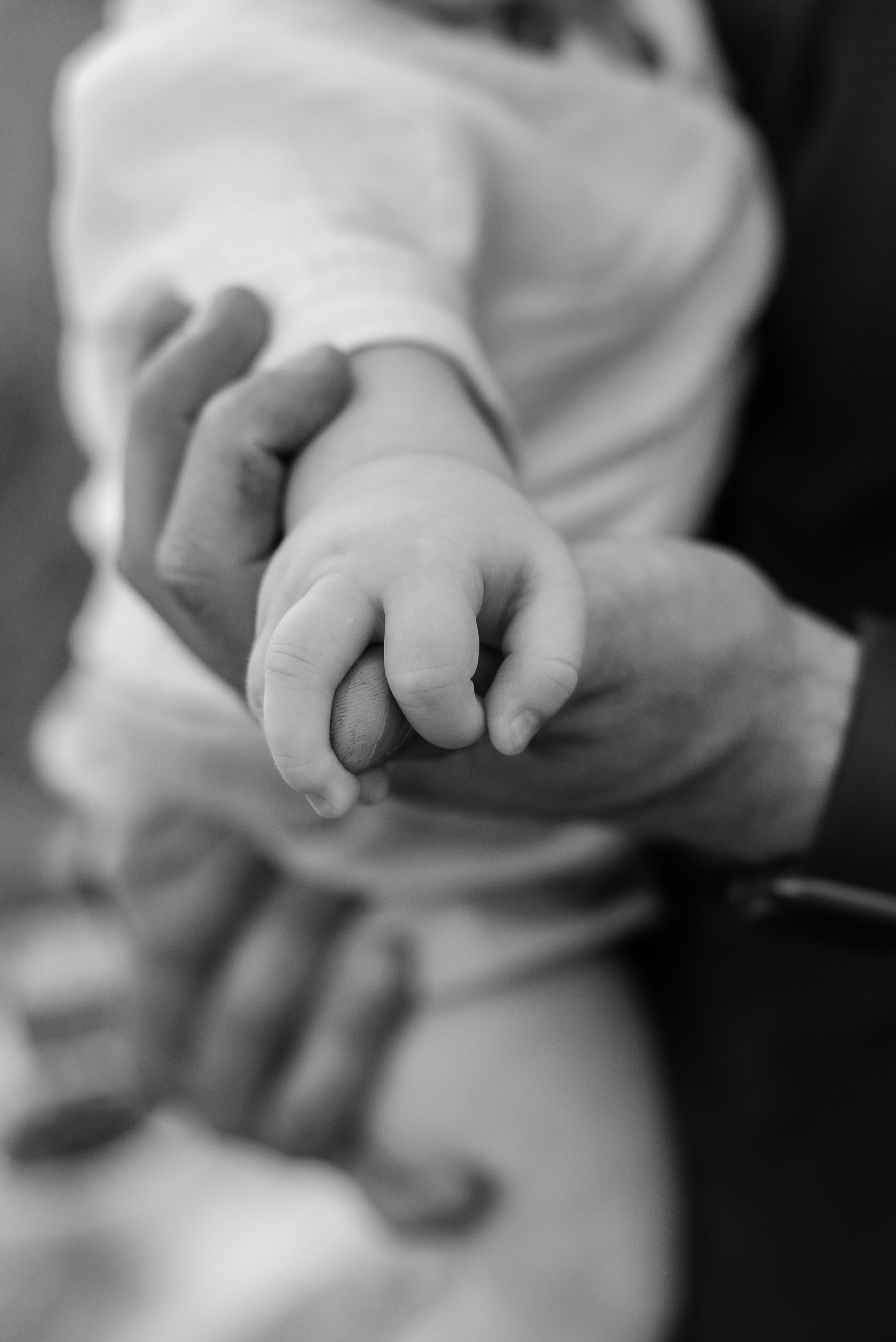 Вера+Саша+Тимофей. Свадебный и семейный фотограф Волгоград Ксения Афонина