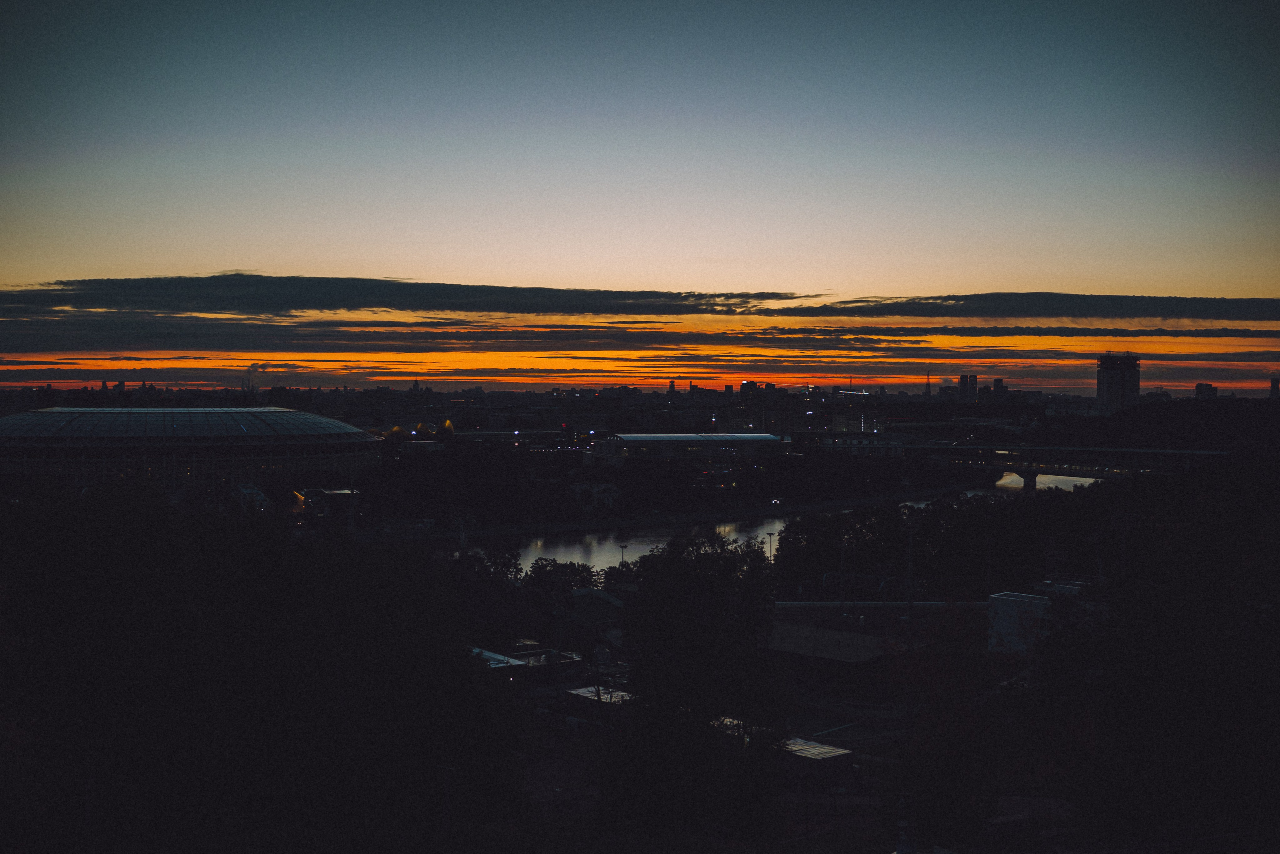 Пуговка и ее семья