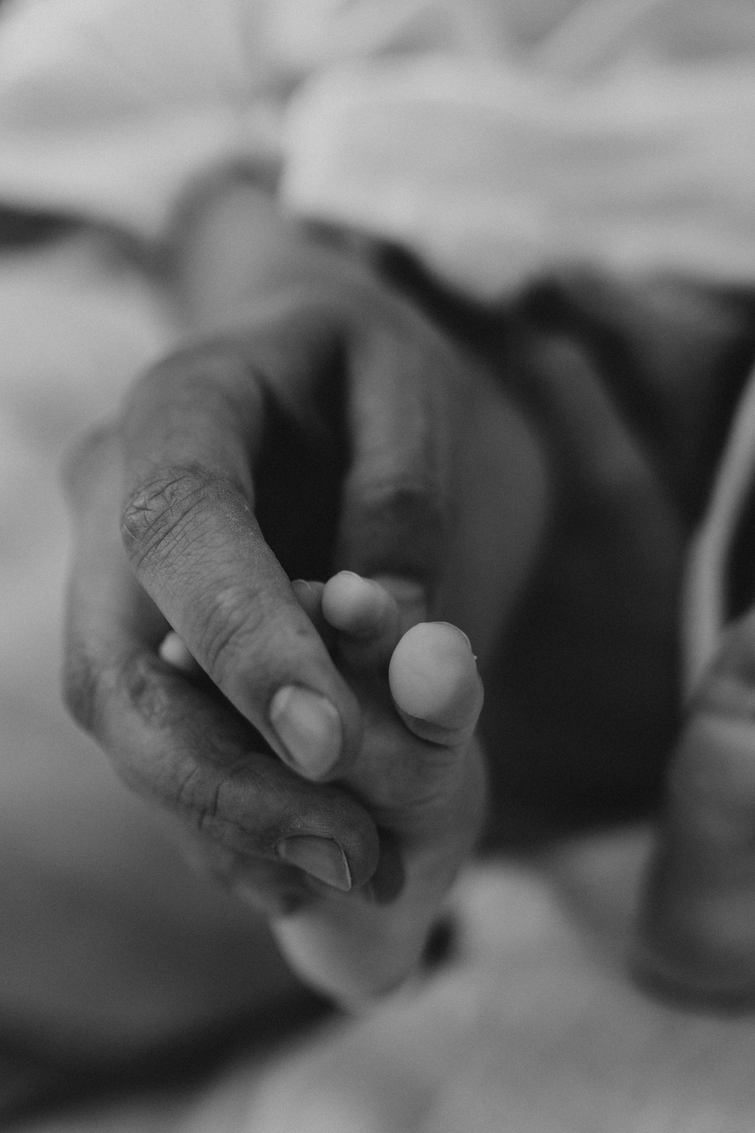 Анастасия, Олег, Матвей и Ваня. Семейный фотограф в Москве Жукова Анна