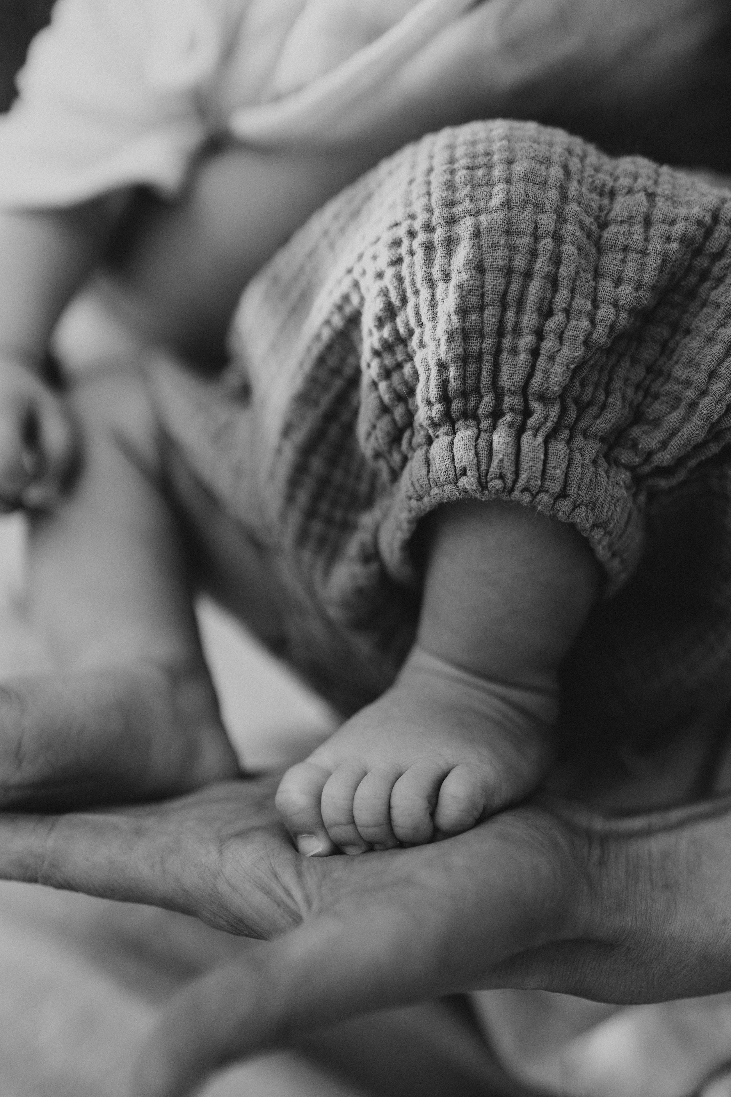 Анастасия, Олег, Матвей и Ваня. Семейный фотограф в Москве Жукова Анна