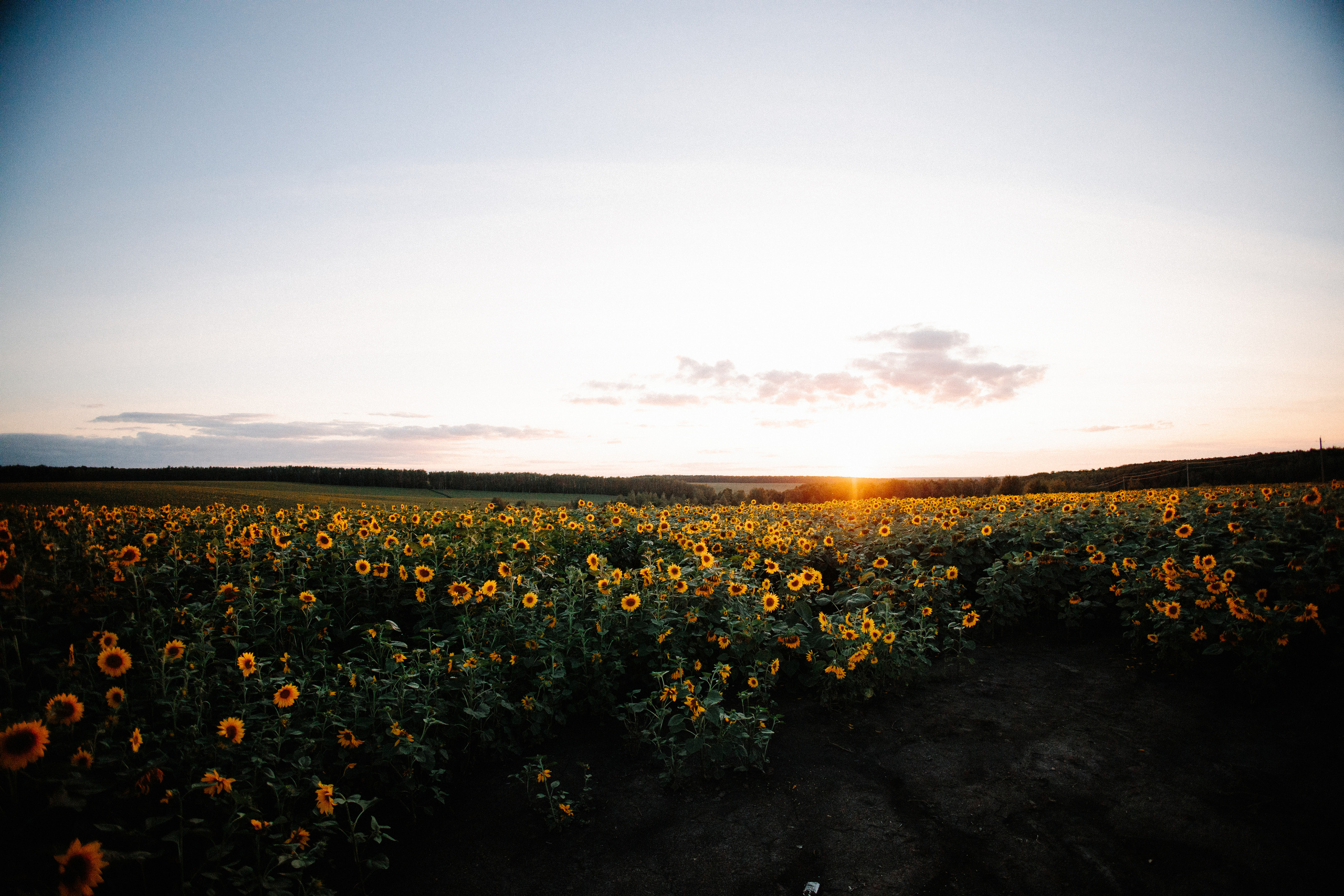 Отзывы. Семейный фотограф в Москве Жукова Анна