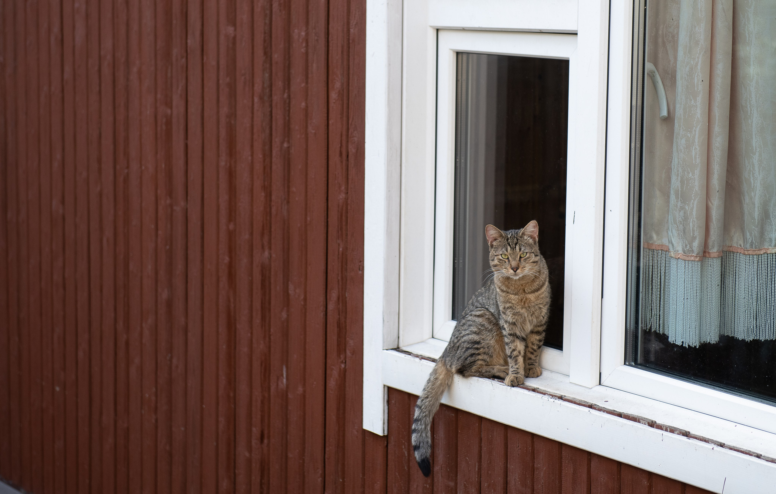 Олеся и Константин. Свадебные съёмки в Москве и МО Галина Борисова