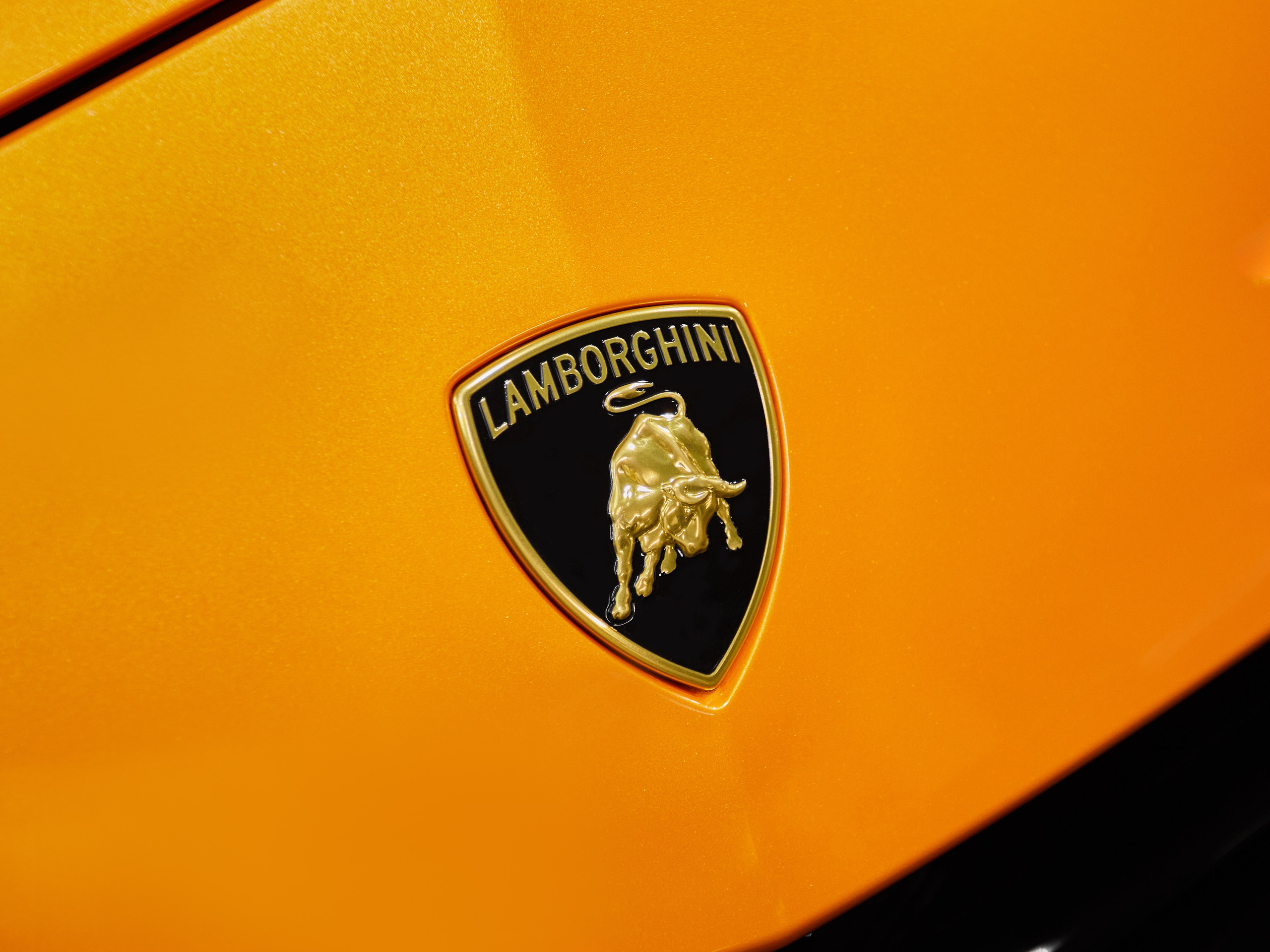 Lamborghini Urus. Kurbanov content maker