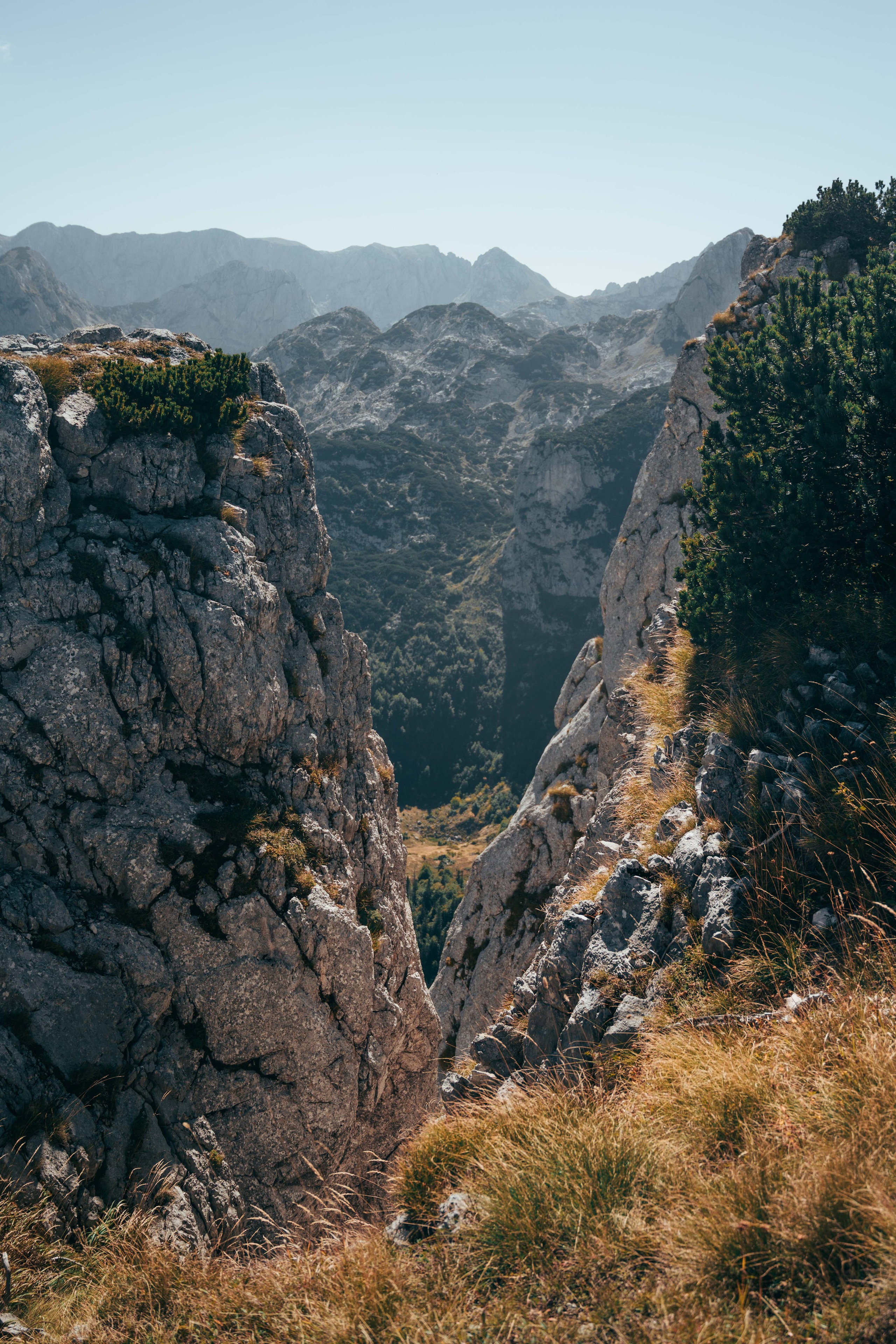 ЦРВЕНА ГРЕДА. ЧЕРНОГОРИЯ. Фотограф в Белграде Чугреева Елена