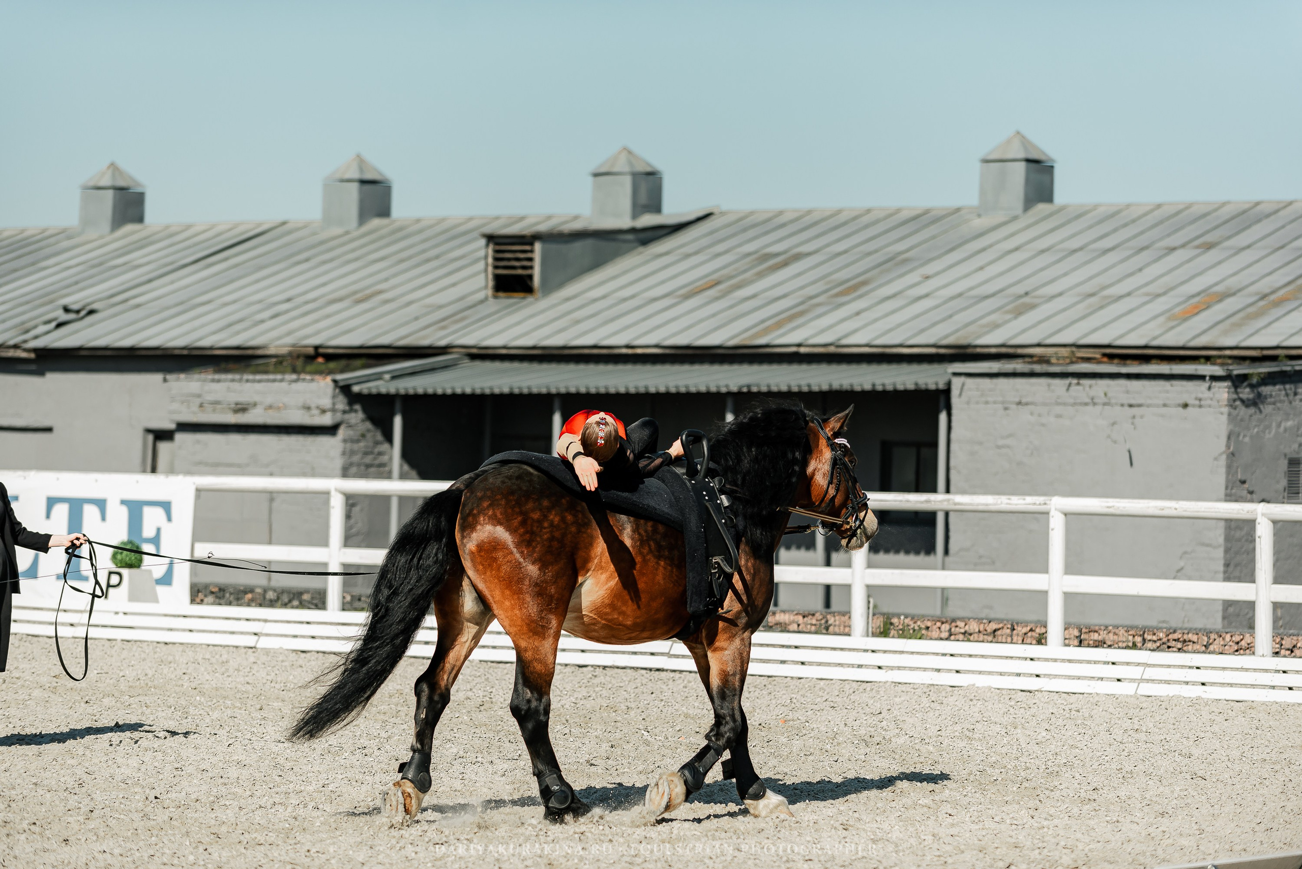 РЕПОРТАЖ МКК ВОЛЬТ «LA TULIPS». Конный фотограф Куракина Дарья • Фотосессии с лошадьми